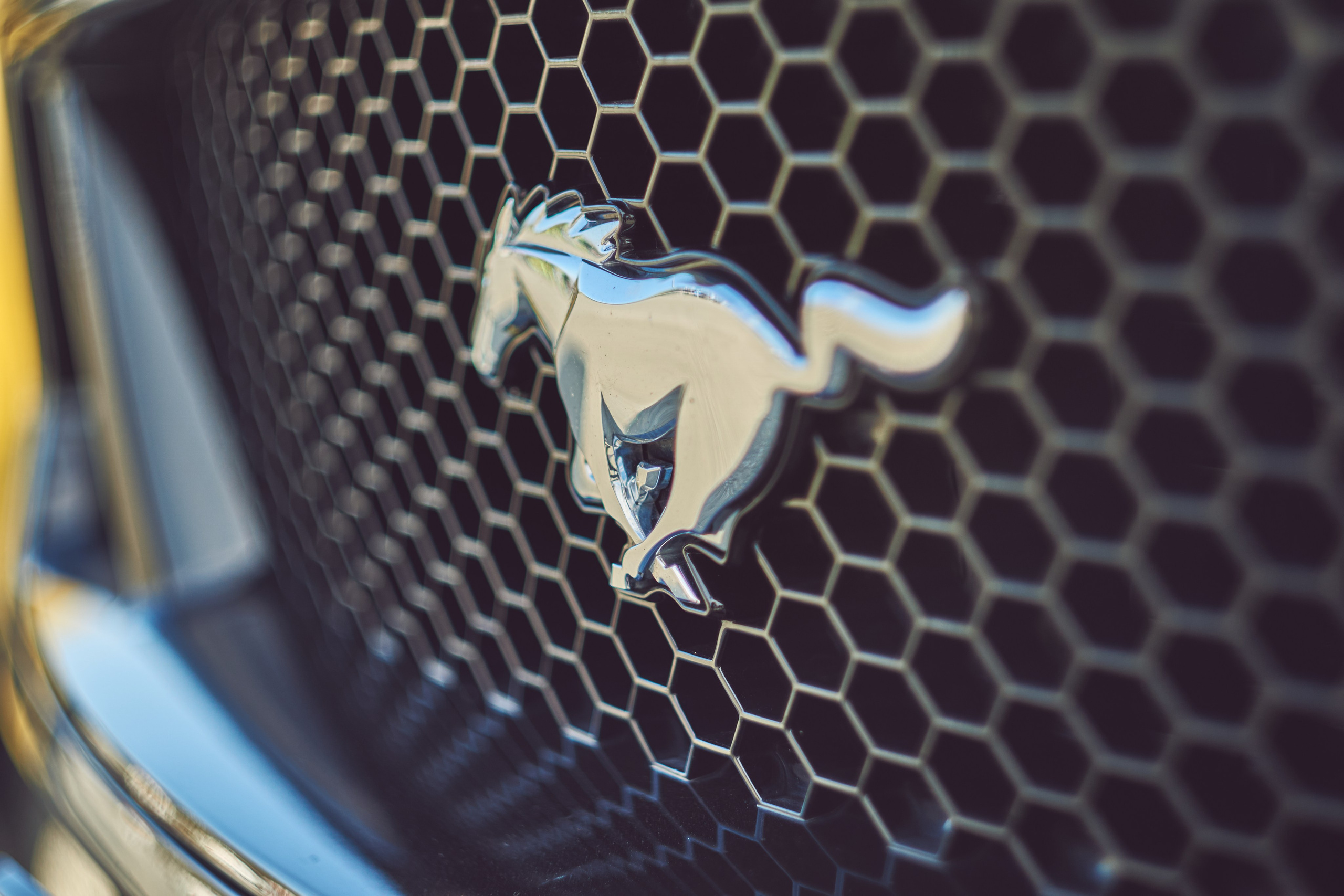 Закрытие дрифт сезона. Фотограф во Владивостоке