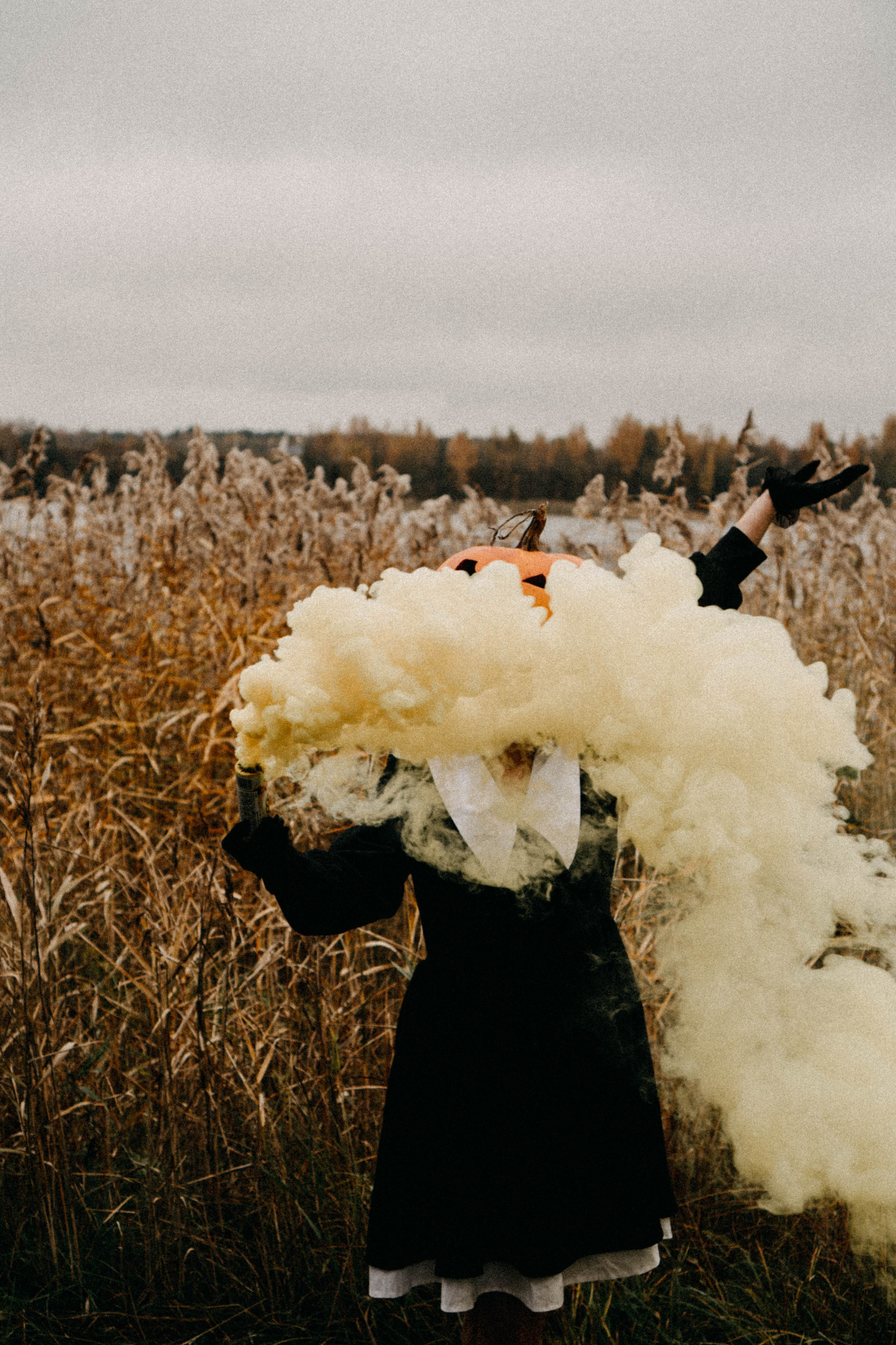 Осеняя. Профессиональный фотограф, Санкт-Петербург — Виктория Богомолова