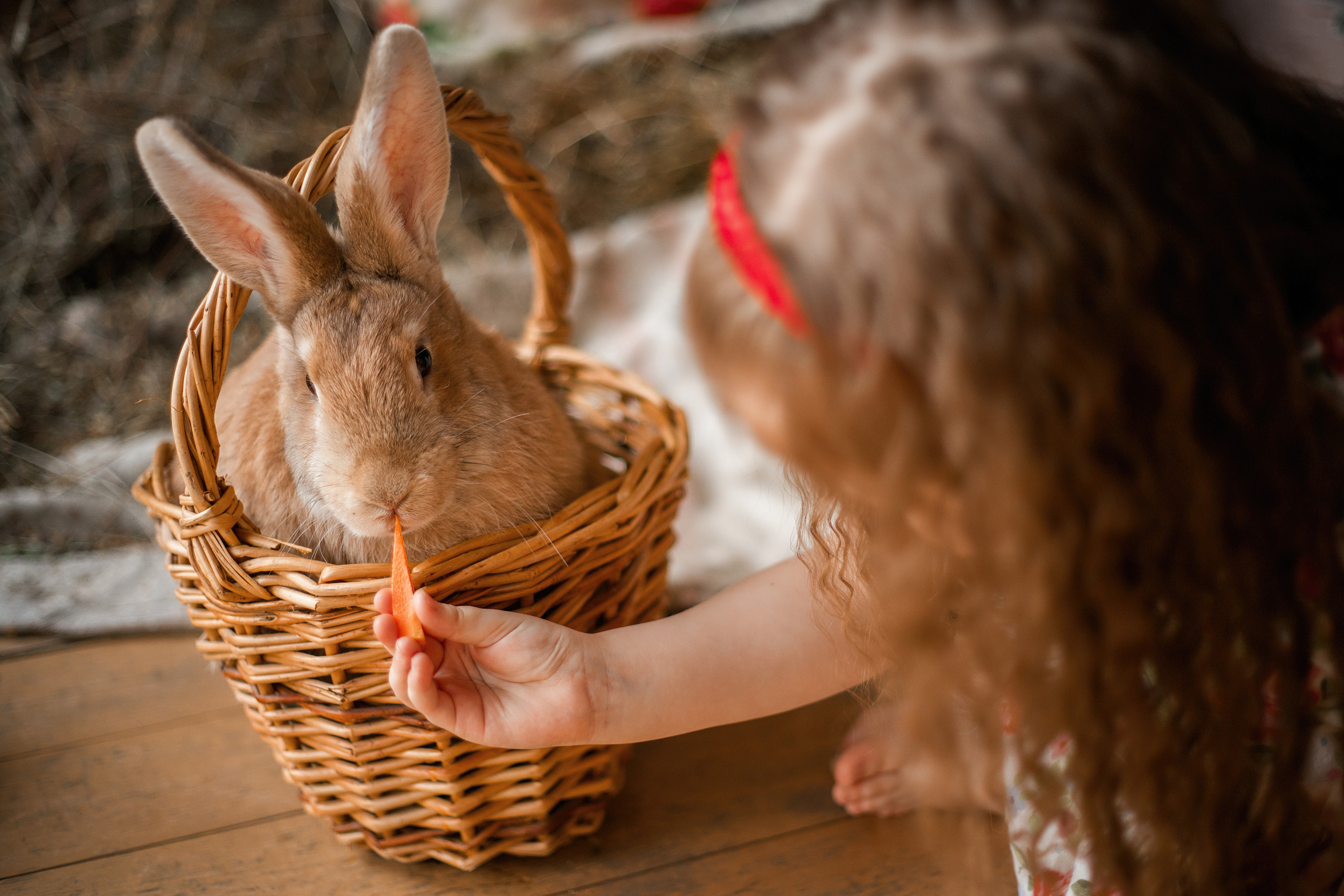 Пасха. Фотограф в г. Чита — Наталья Кириллова