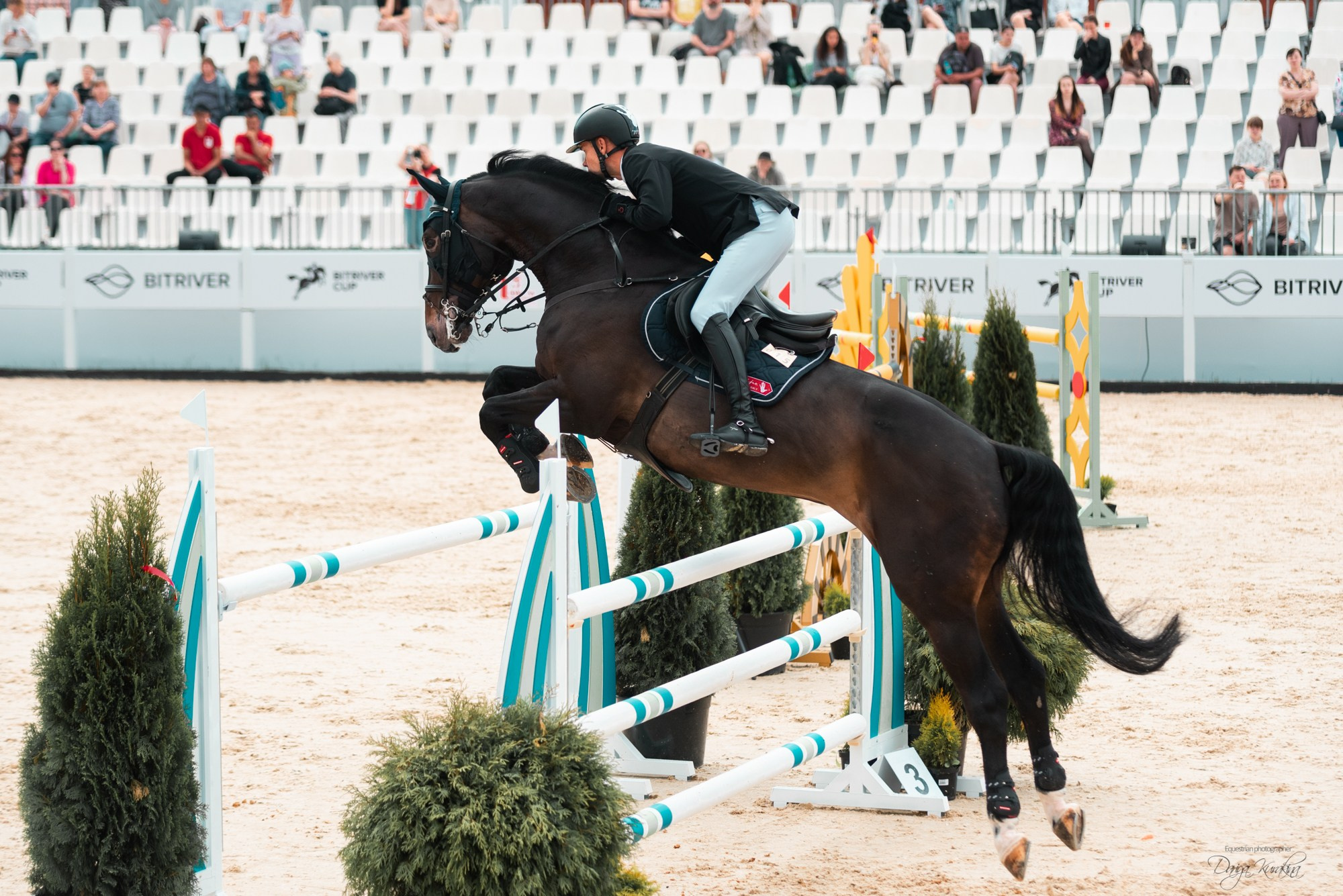 BITRIVER CUP 2023. Конный фотограф Куракина Дарья • Фотосессии с лошадьми