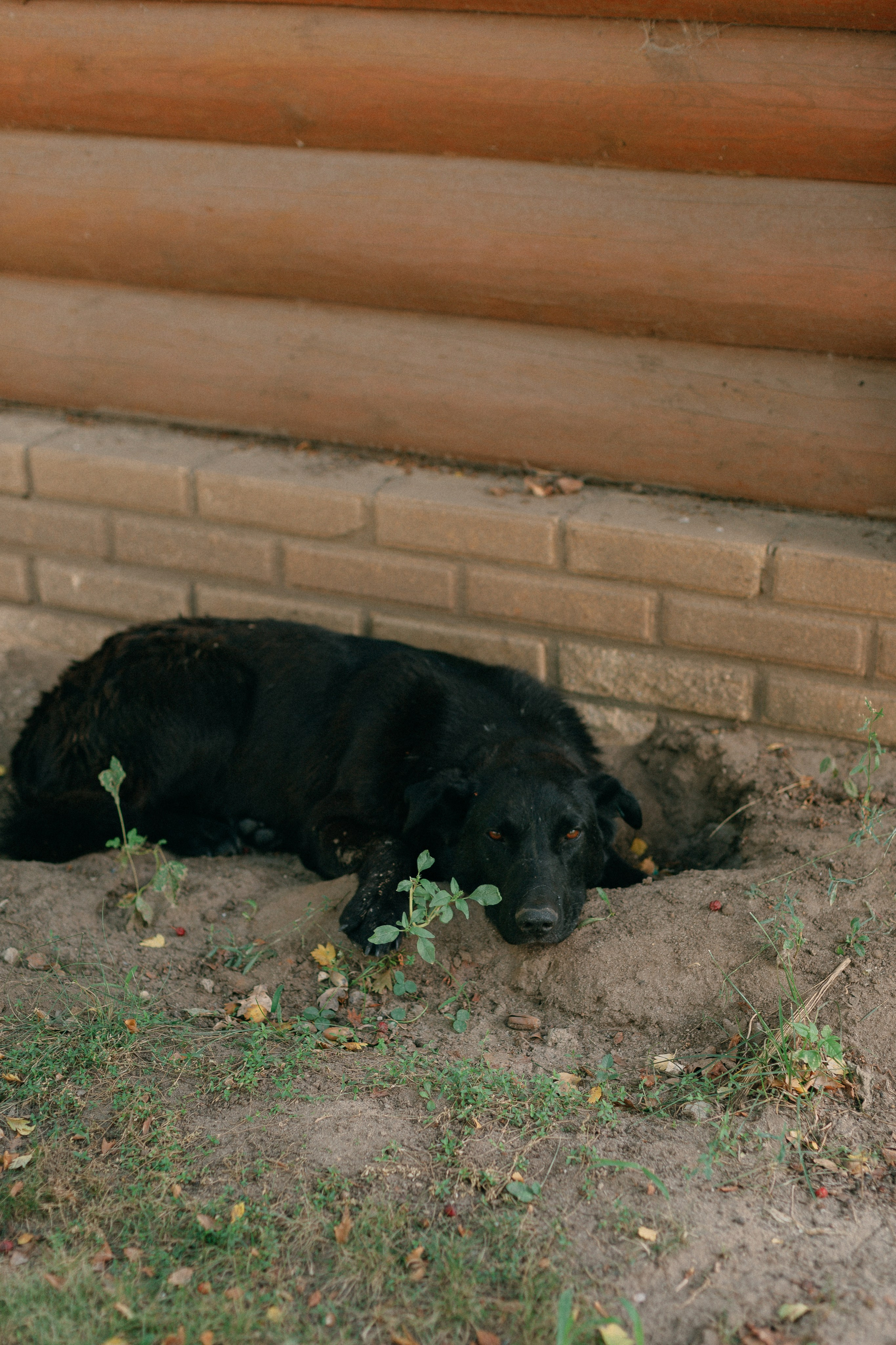 Диана и Лёша. Катерина Макиева