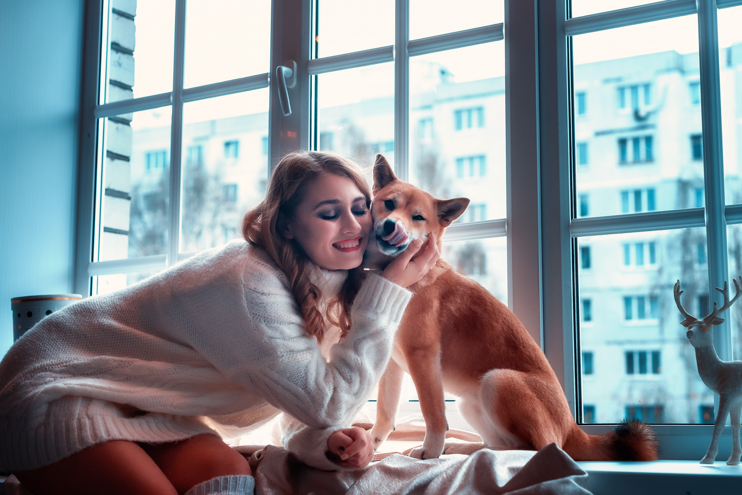 Элина и Симба Сиба-Ину. Женский фотограф Крещение Венчание Москва Брянск