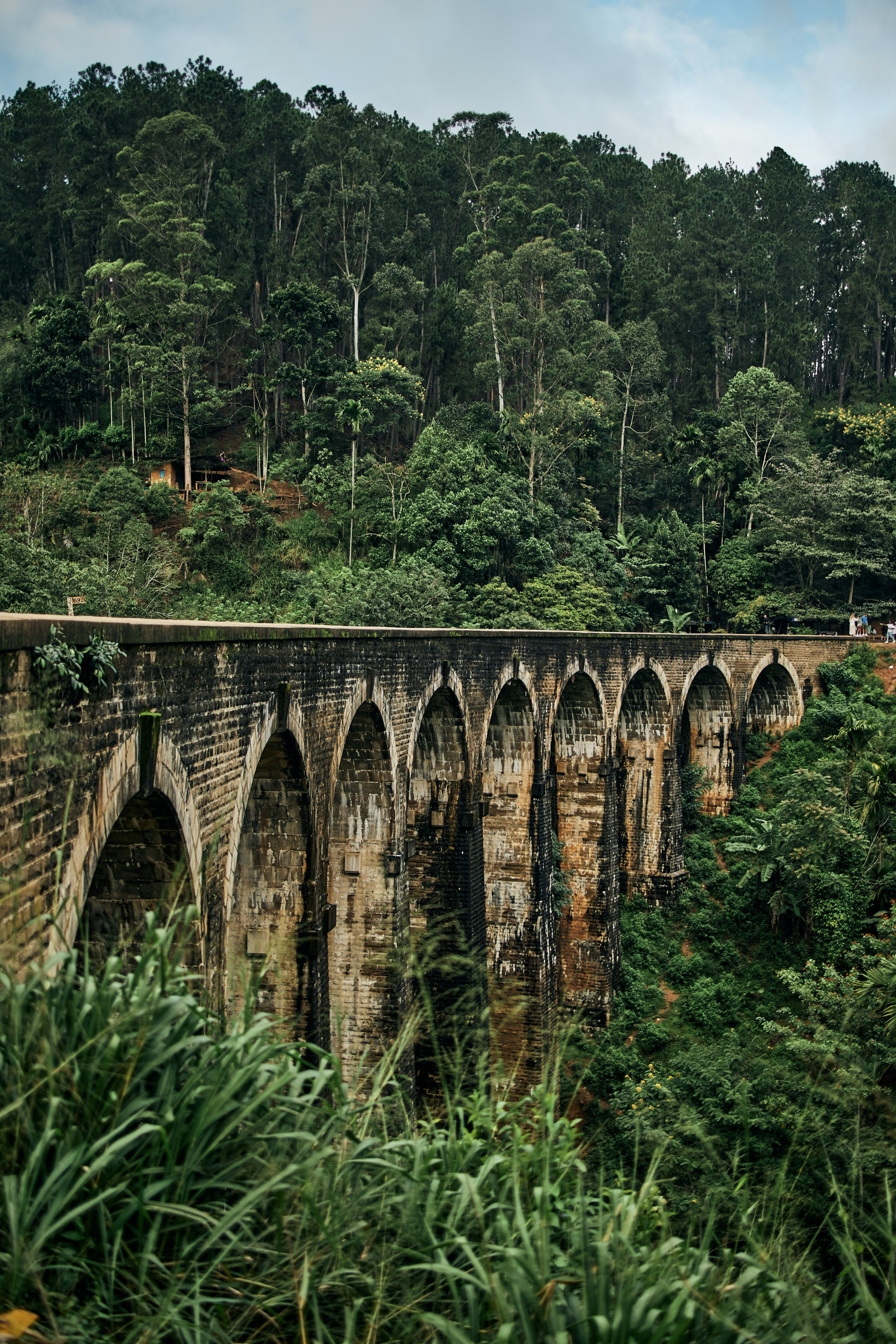 Шри-Ланка. Хороший репортажный и промышленный фотограф в Казани Алексей Щелконогов