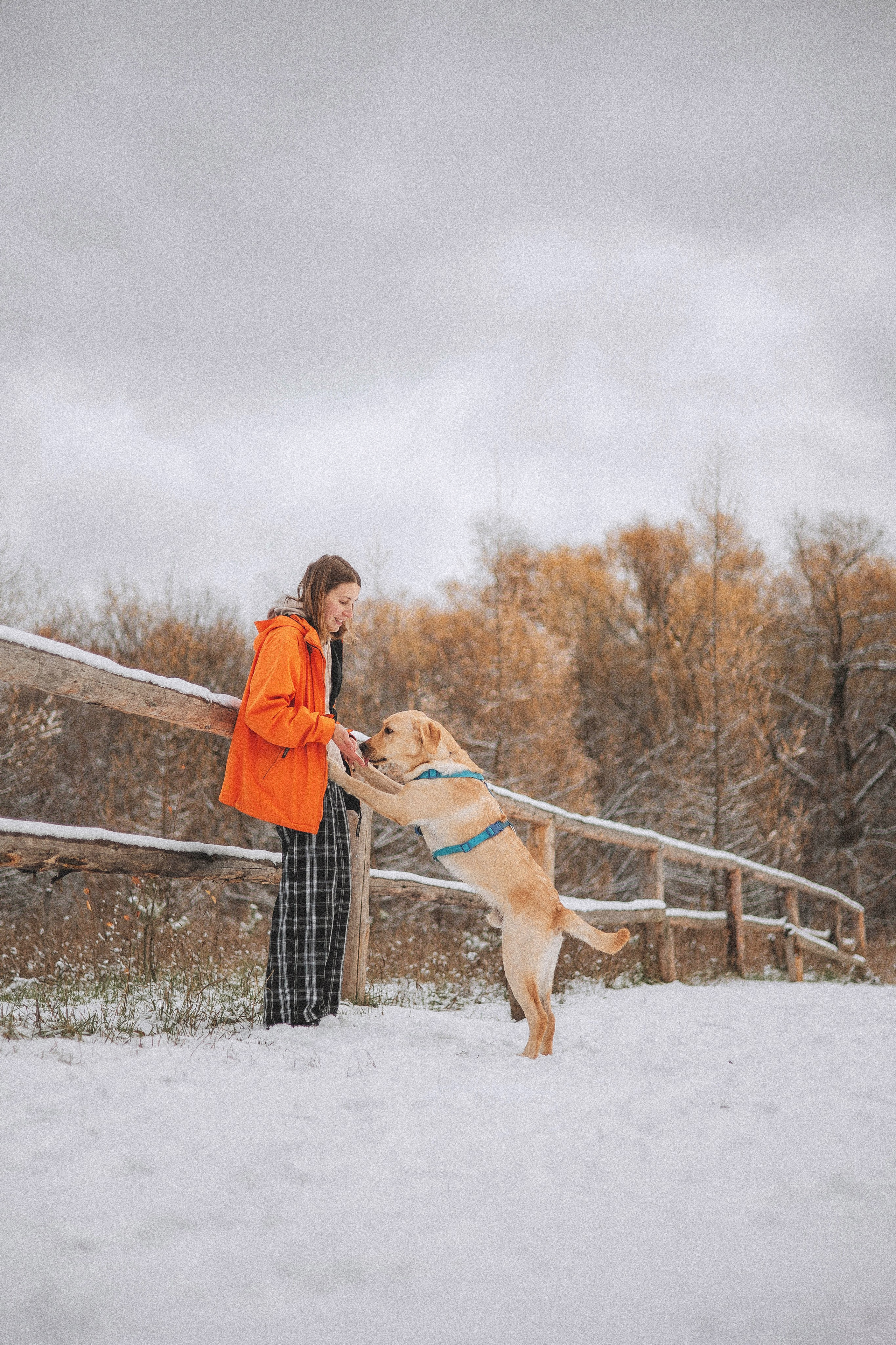 Маргарита и Варди. Фотограф-анималист Богданова Полина
