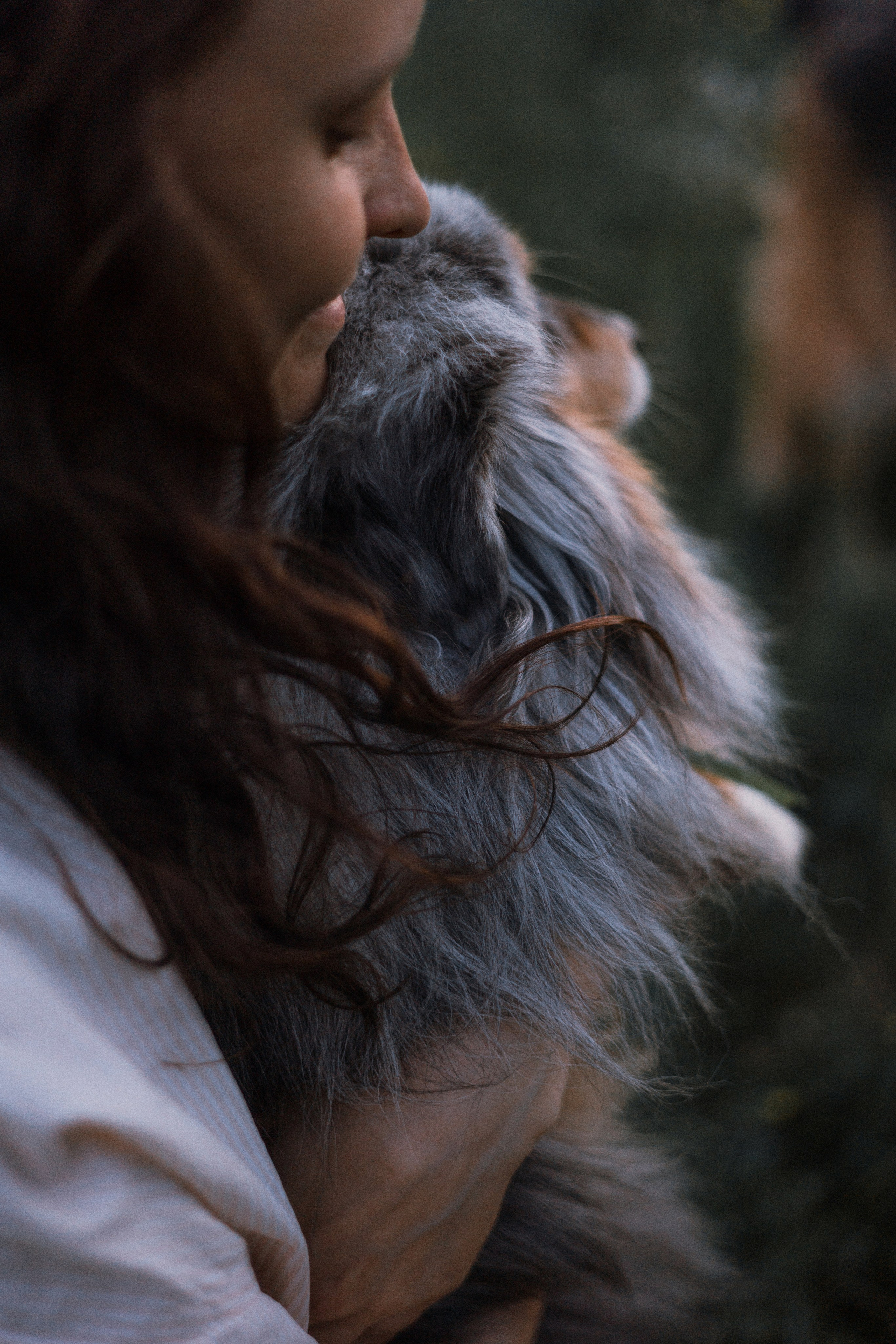 Настя, Шуня, Милка и Тигуан. Фотограф-анималист Богданова Полина