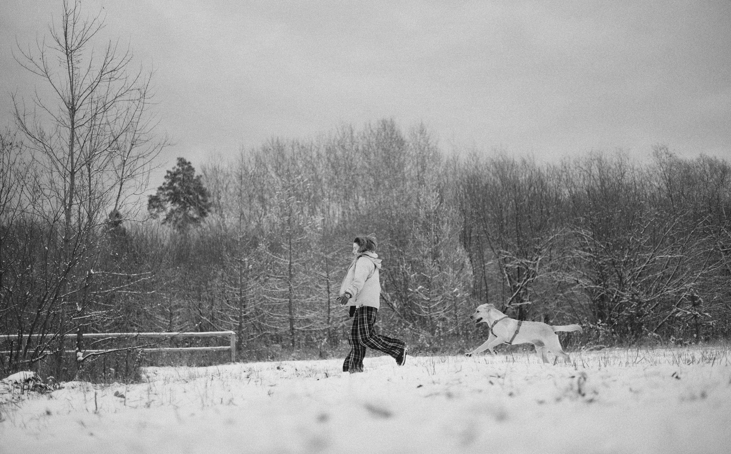 Маргарита и Варди. Фотограф-анималист Богданова Полина