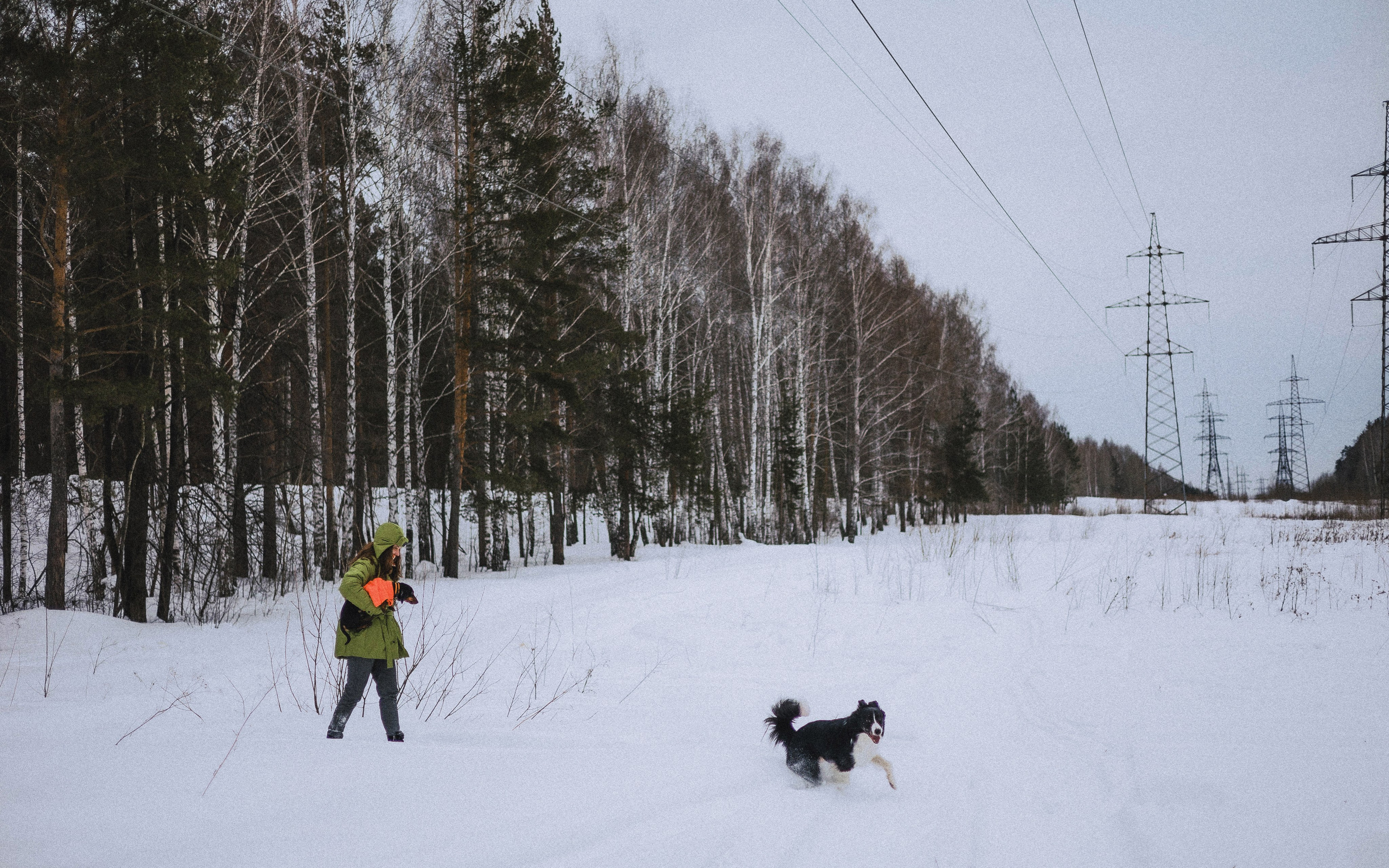 Маша, Рэм и Ньютон. Фотограф-анималист Богданова Полина