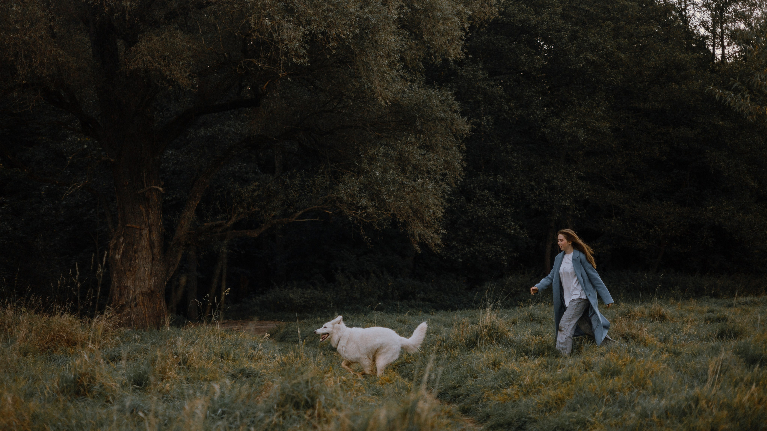 Вика и Уля. Фотограф-анималист Богданова Полина