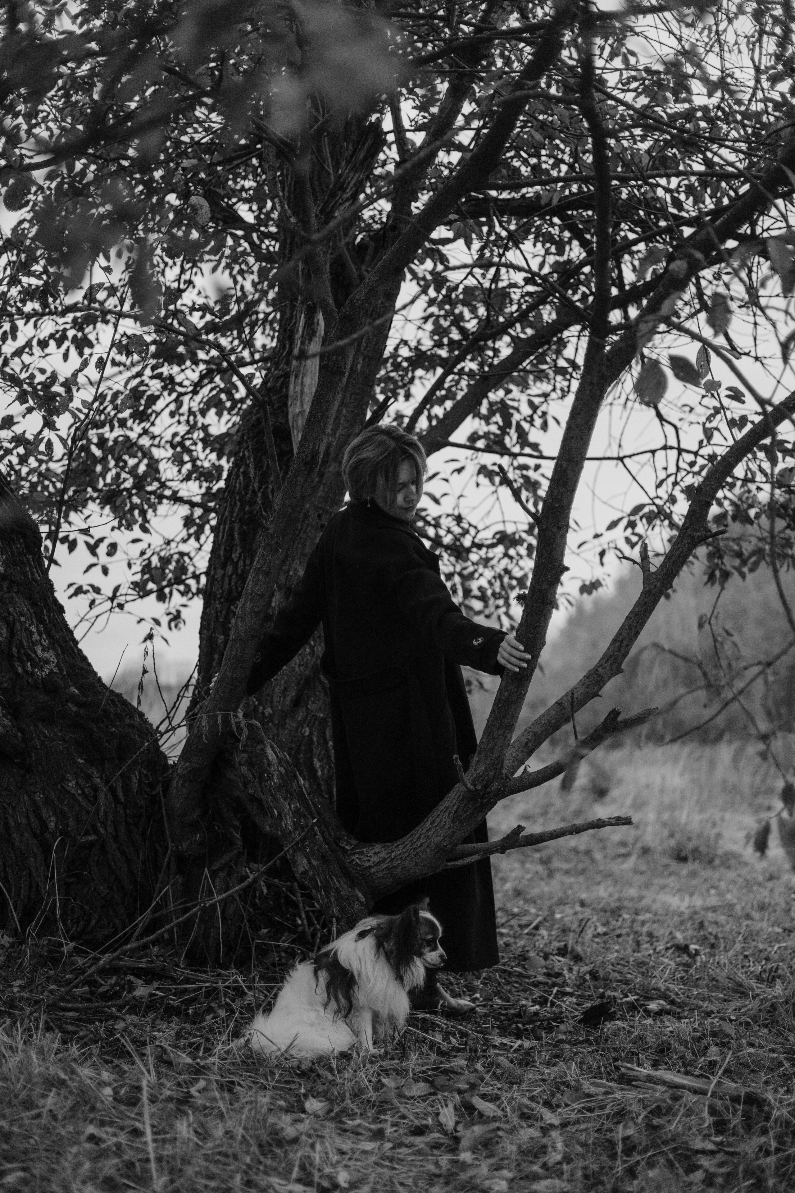 Маша, Катя, Астрид и Мася. Фотограф-анималист Богданова Полина