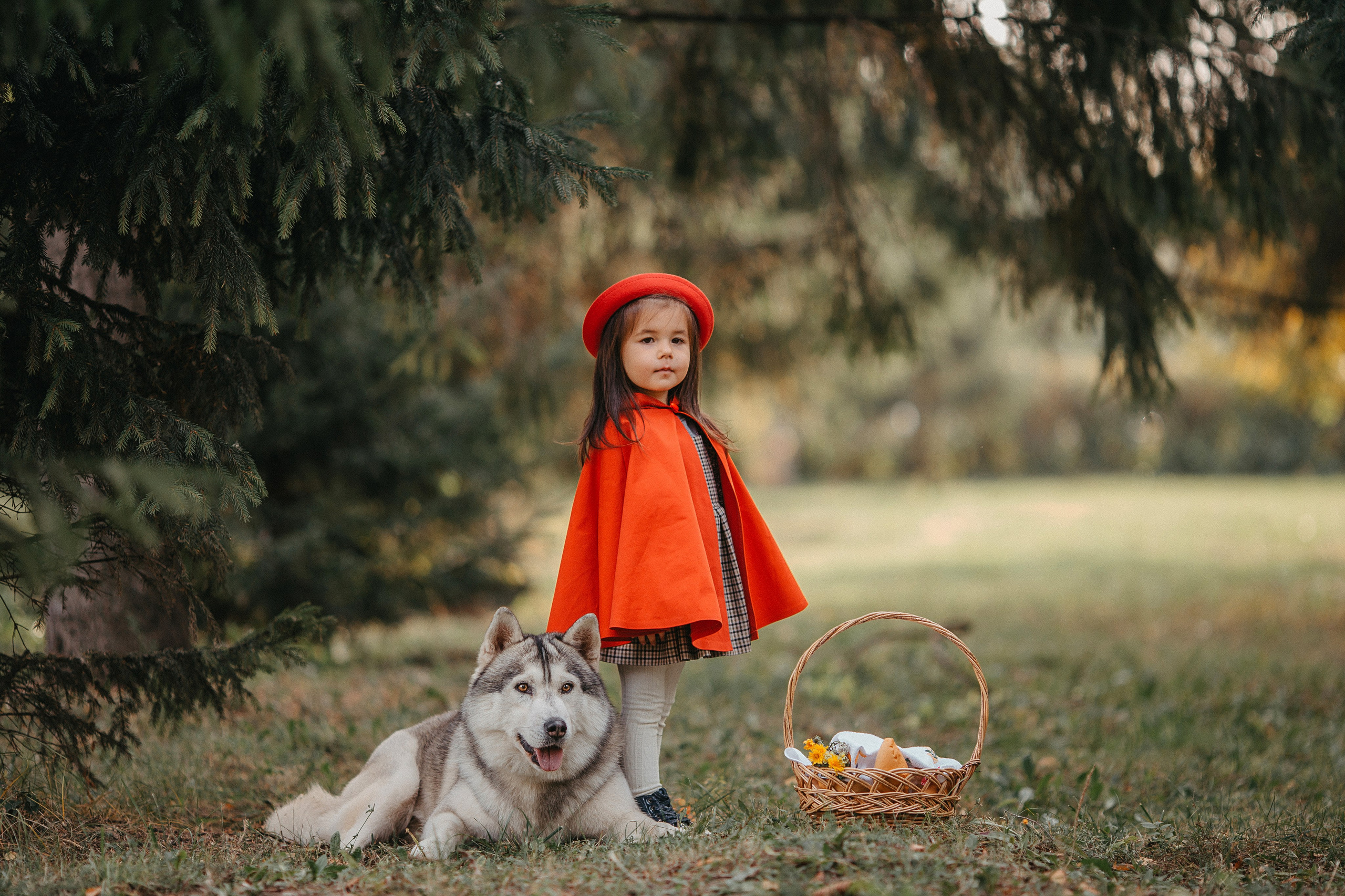 Красная шапочка. Свадебный, семейный и детский фотограф Набережные Челны