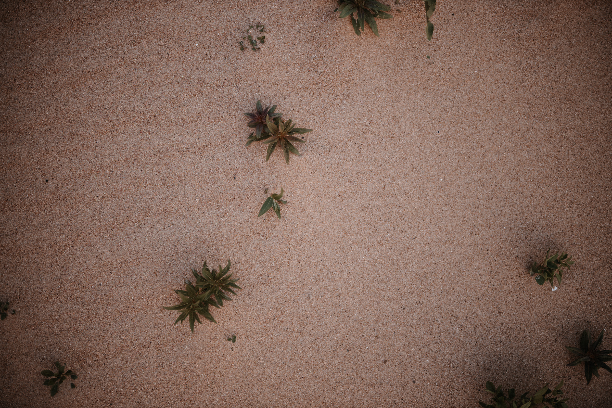 LoveStory Артём и Карина. Свадебный фотограф в Ярославле Илья Жуков