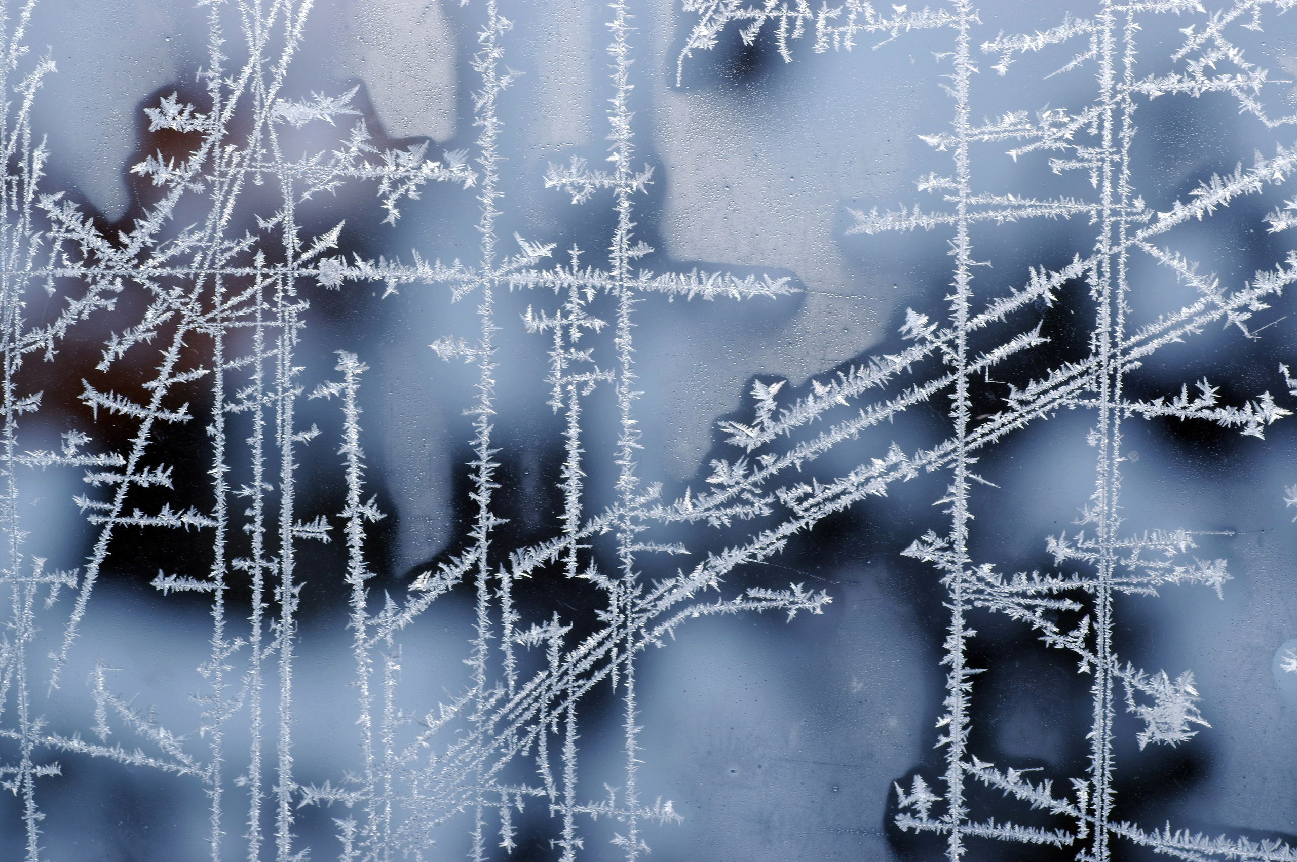 4. Вадим Шейдин