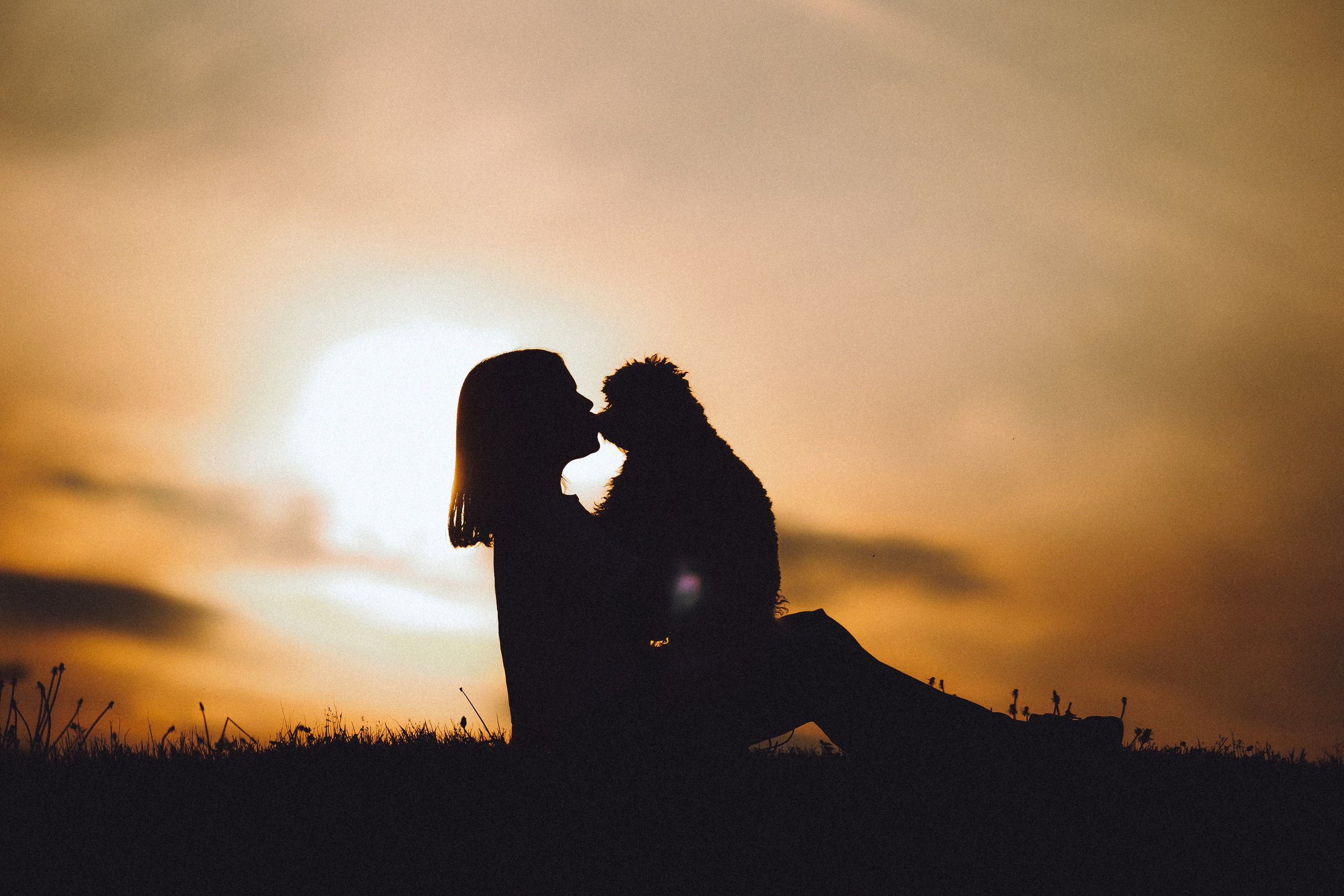 Фред и его семья