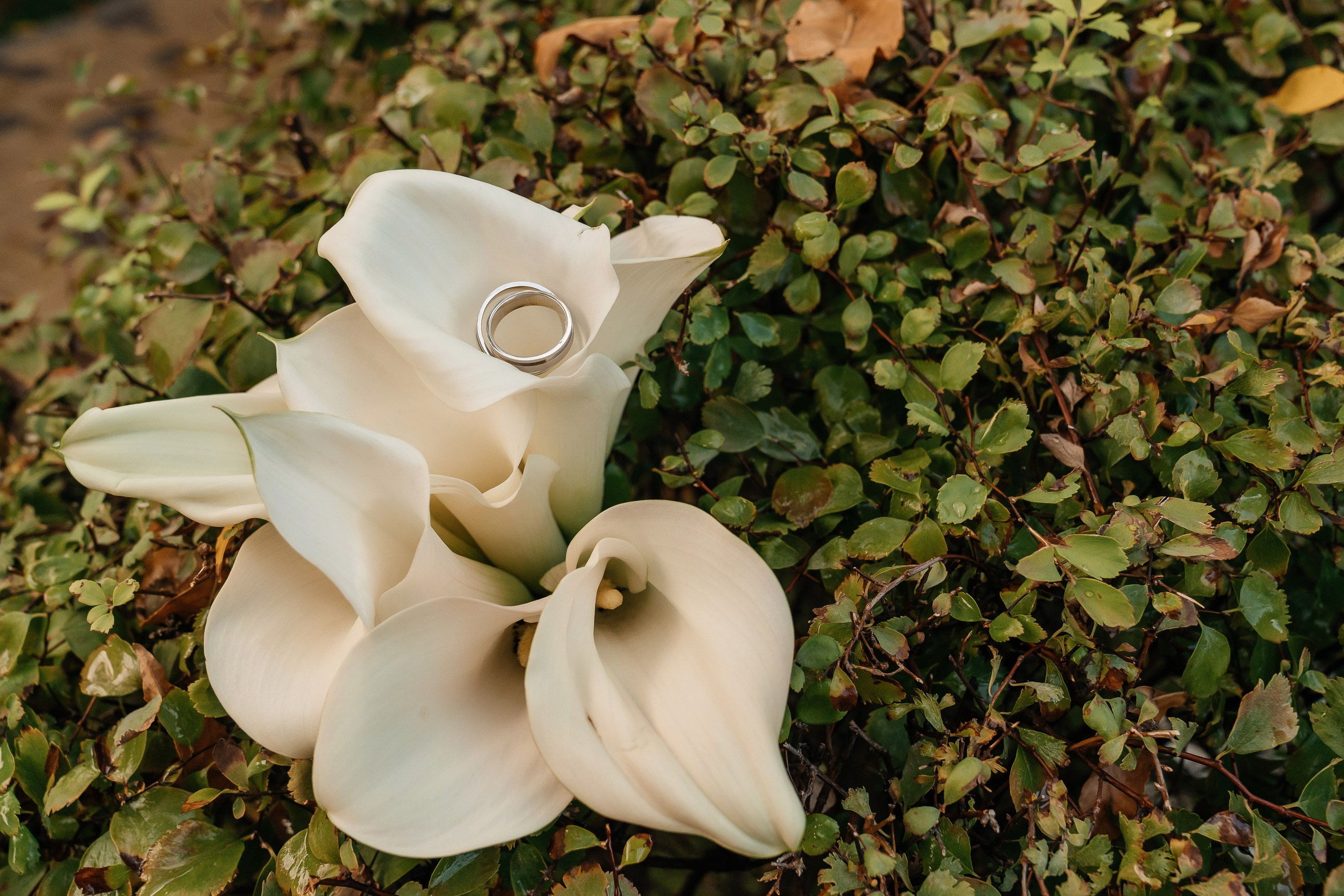 Евгений & Наталья. Lokos.pro Ник Соколов Фото и Видео Москва/Ростов-на-Дону