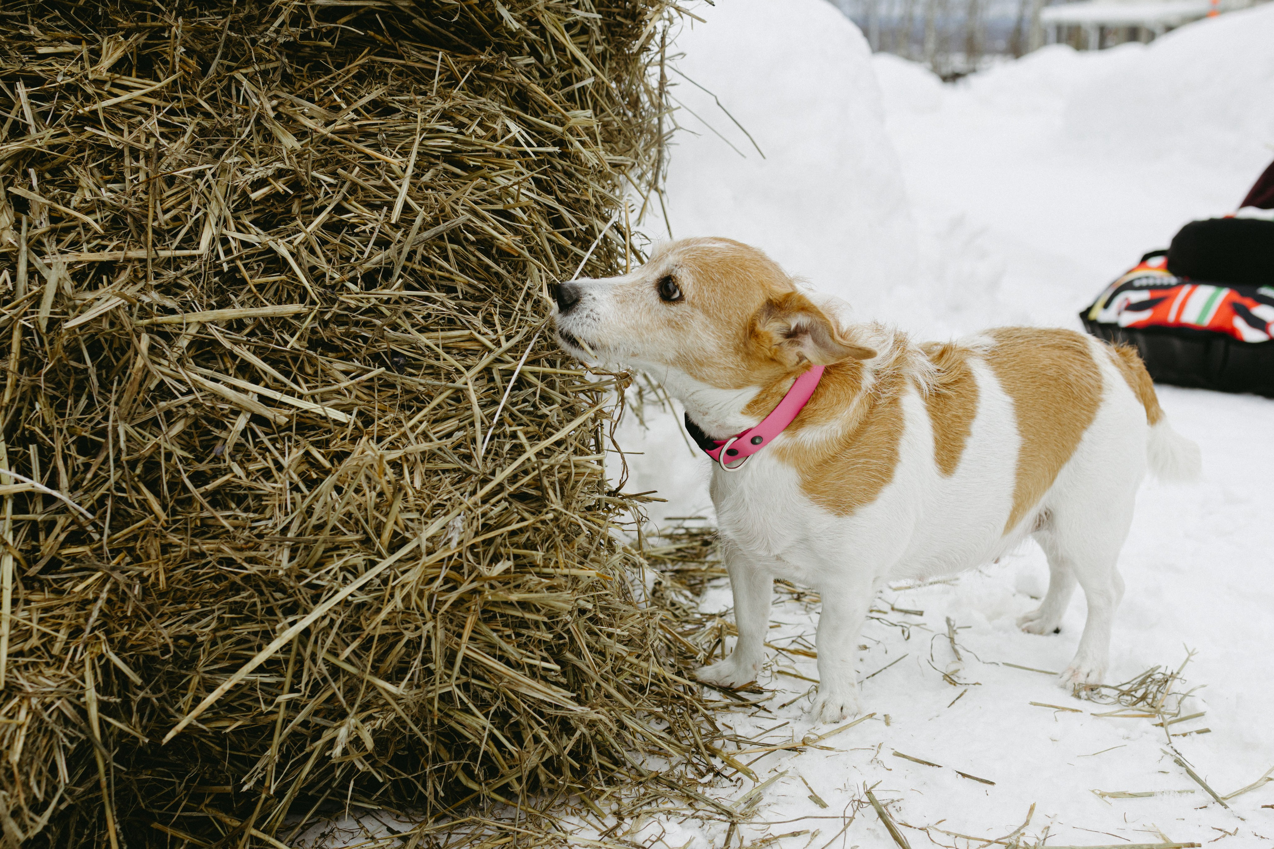 Изготовление куклы к Масленице. Про любовь