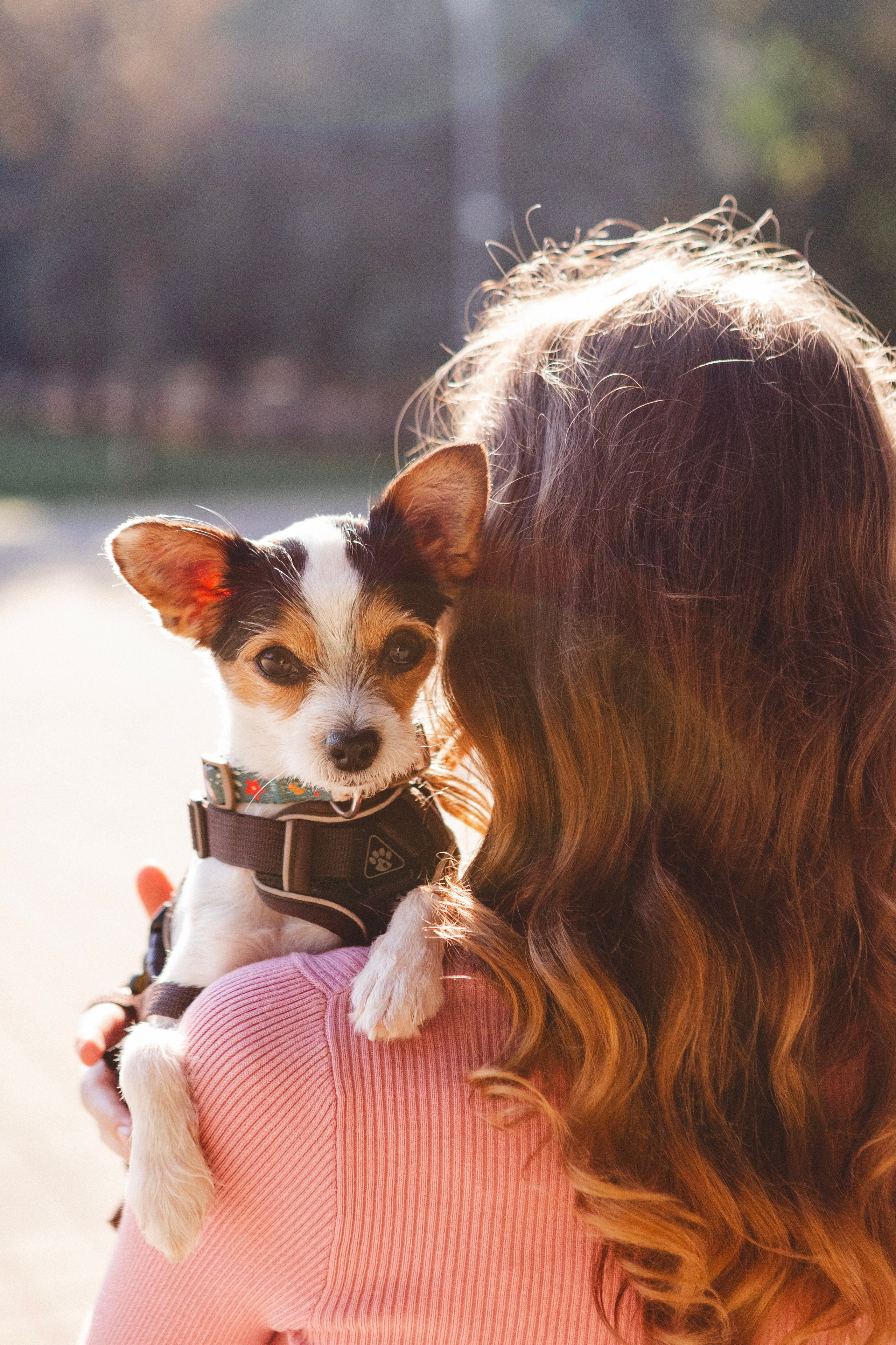 Лайфстайл. Портреты и лайфстайл в Краснодаре