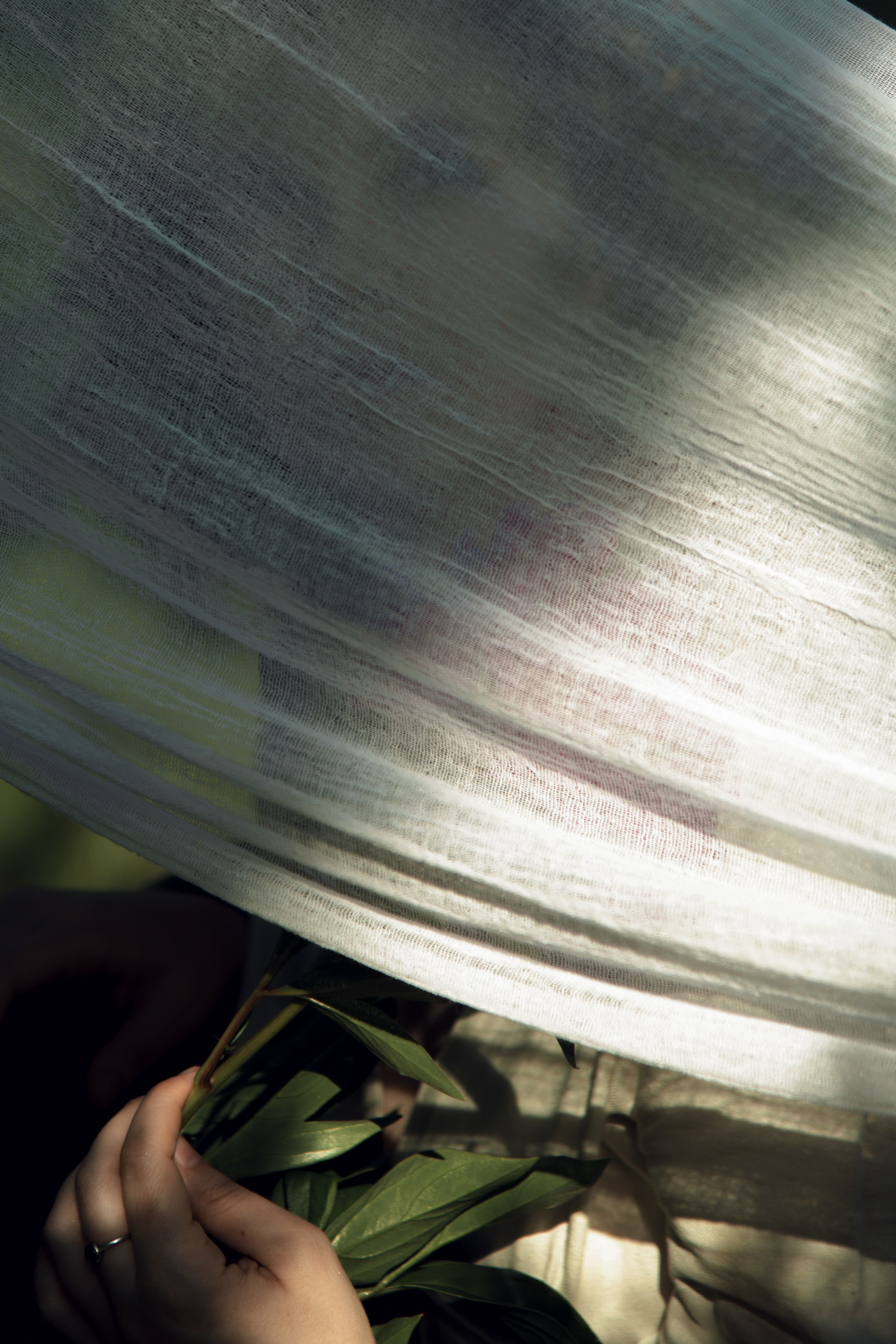 Постановочное. Александра Панина фотограф, портрет, семья, бизнес, Новосибирск