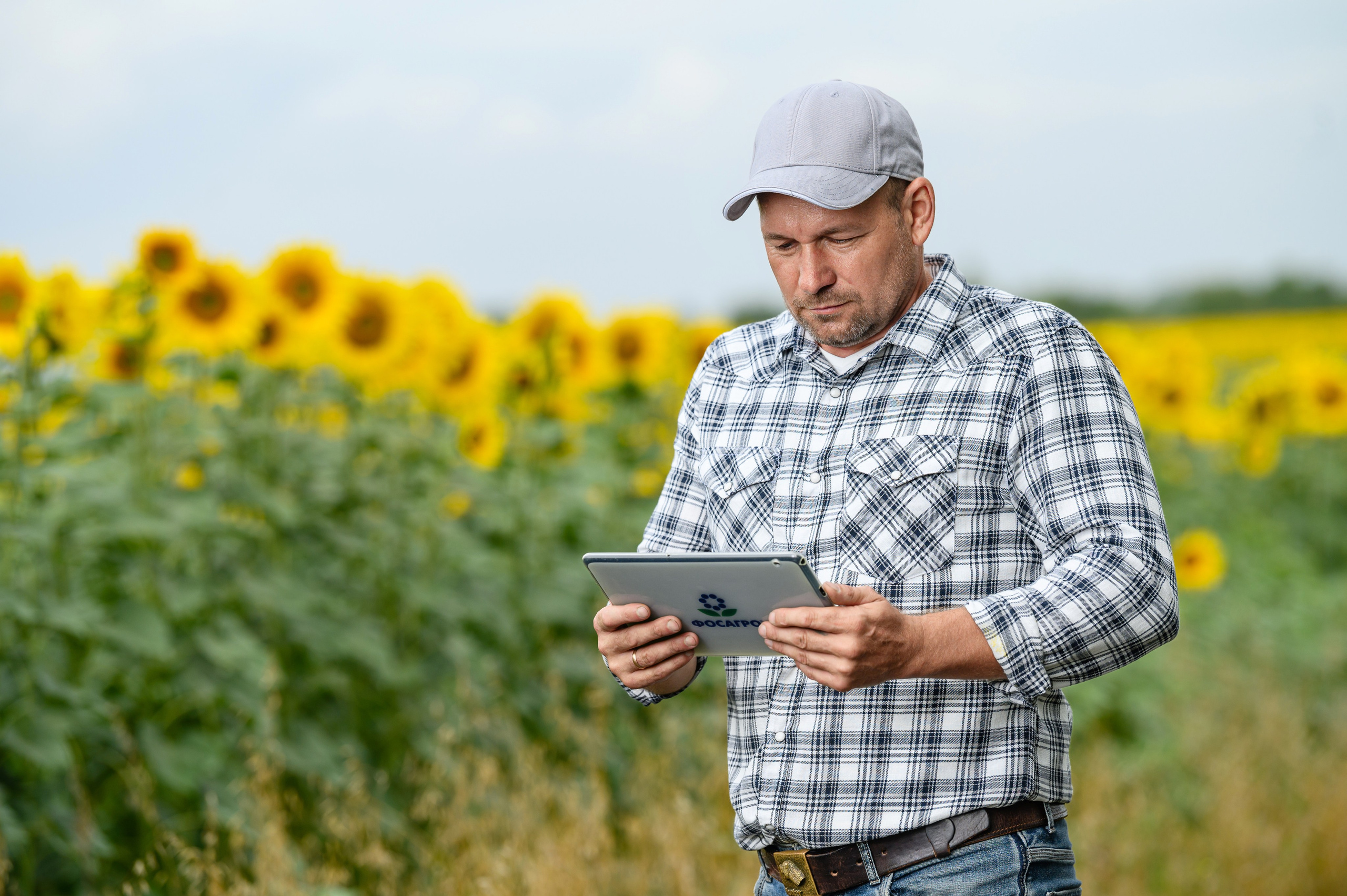 Проекты. Профессиональный фотограф Вячеслав Плацында | Липецк |