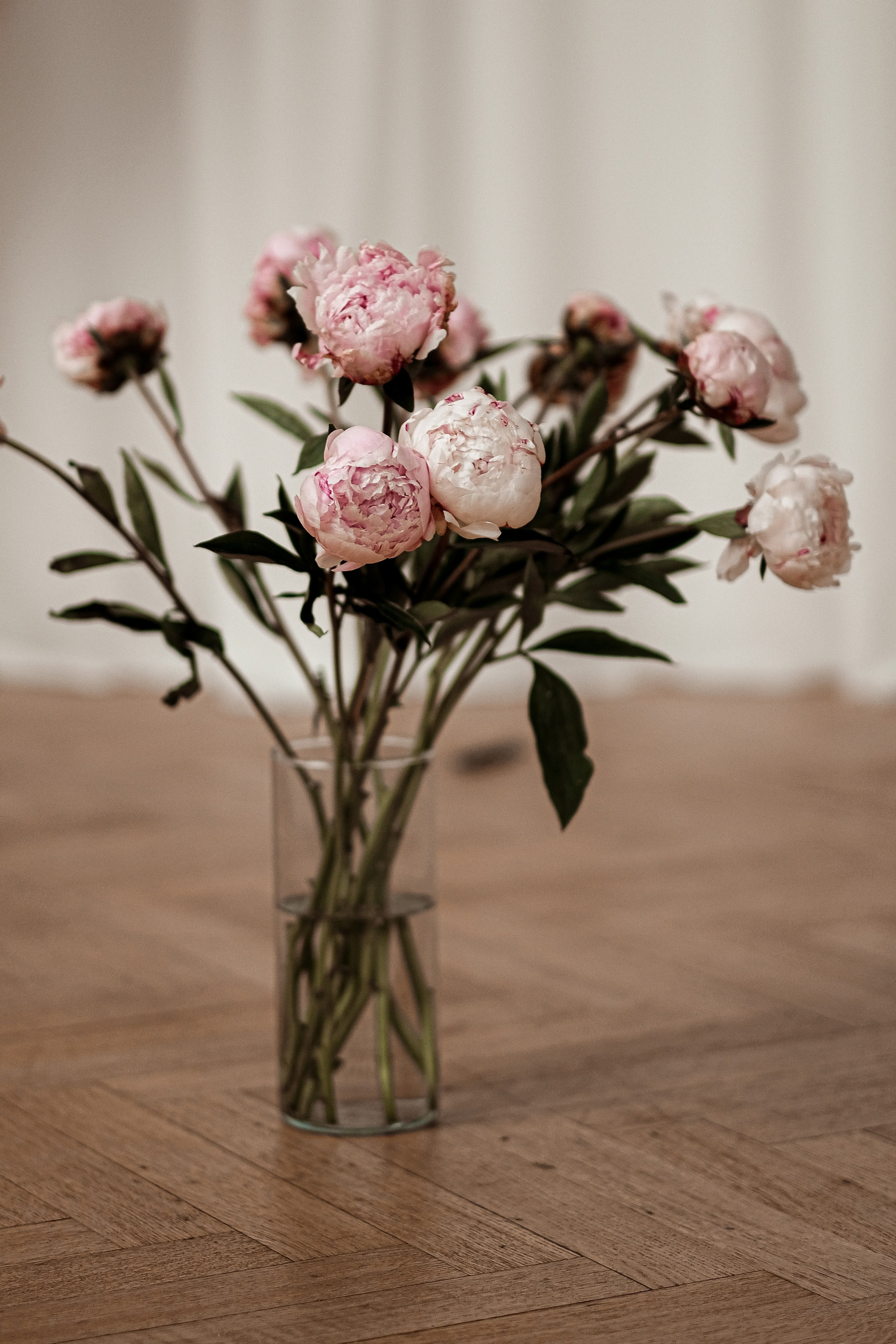 Виктория (пионы). Твой эксклюзивный фотограф Мария Дригова