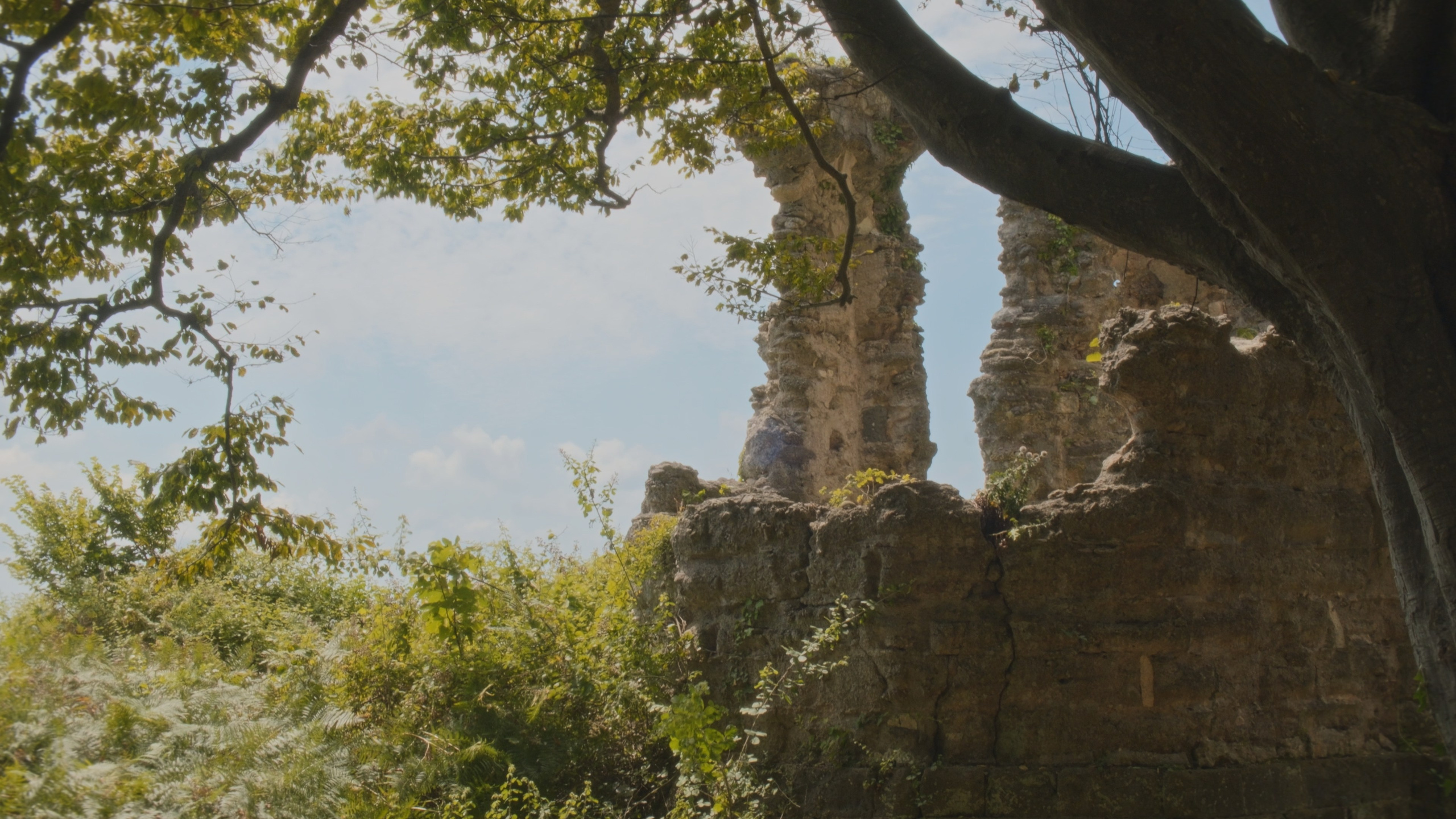 Серая Баба. Абхазия. Главная