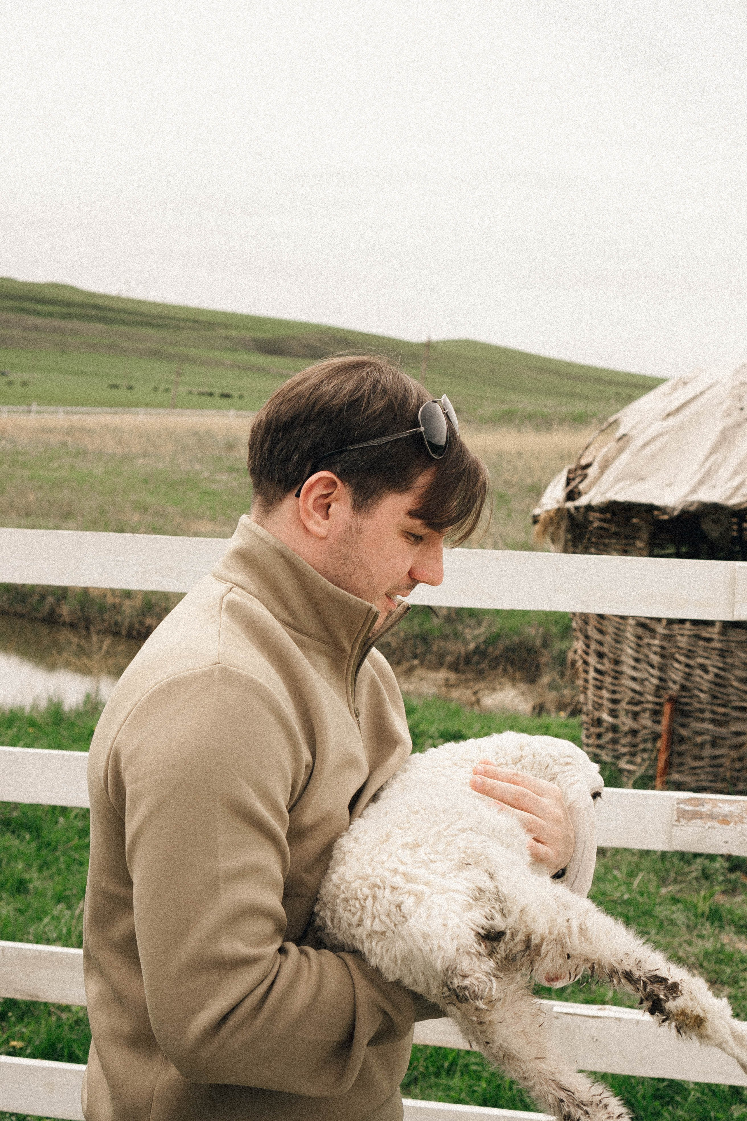 Ферма Альпак. Профессиональный фотограф, Санкт-Петербург — Виктория Богомолова