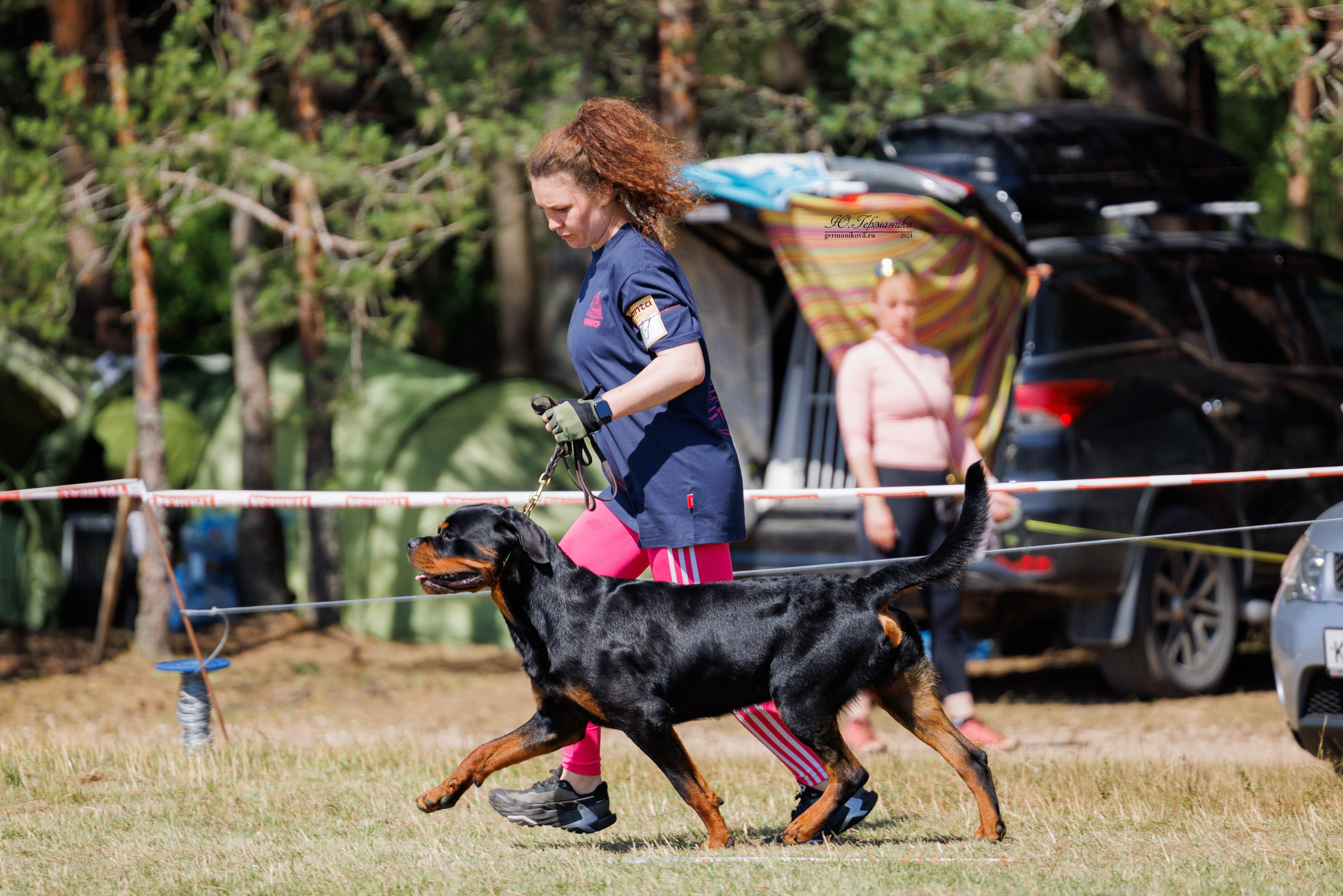 ПК и КЧК ротвейлеры Тверь 6-7.07.2024. Фотограф-анималист Юлия Германика
