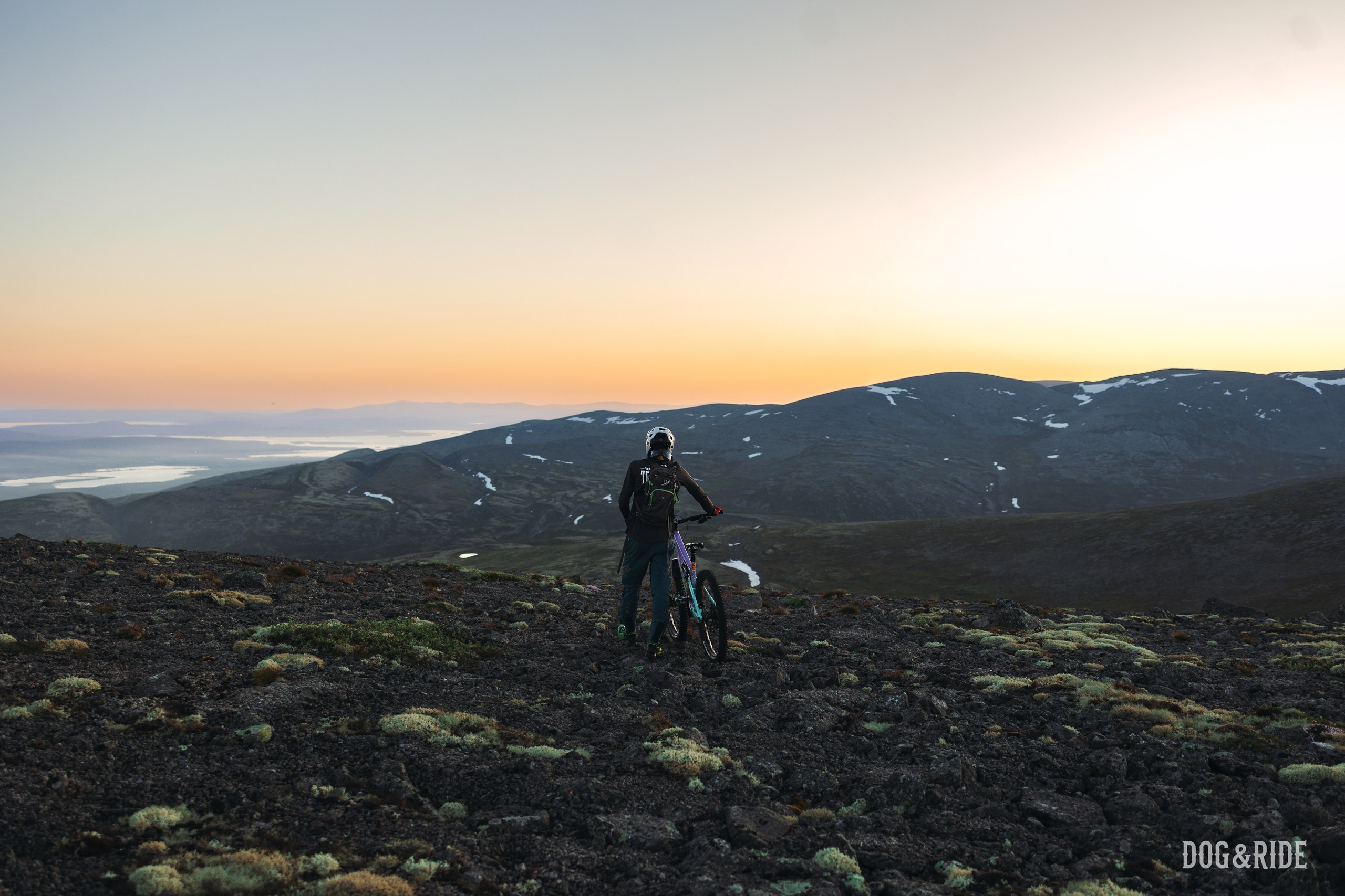 Хибины. Фотограф анималист Никита Натальный