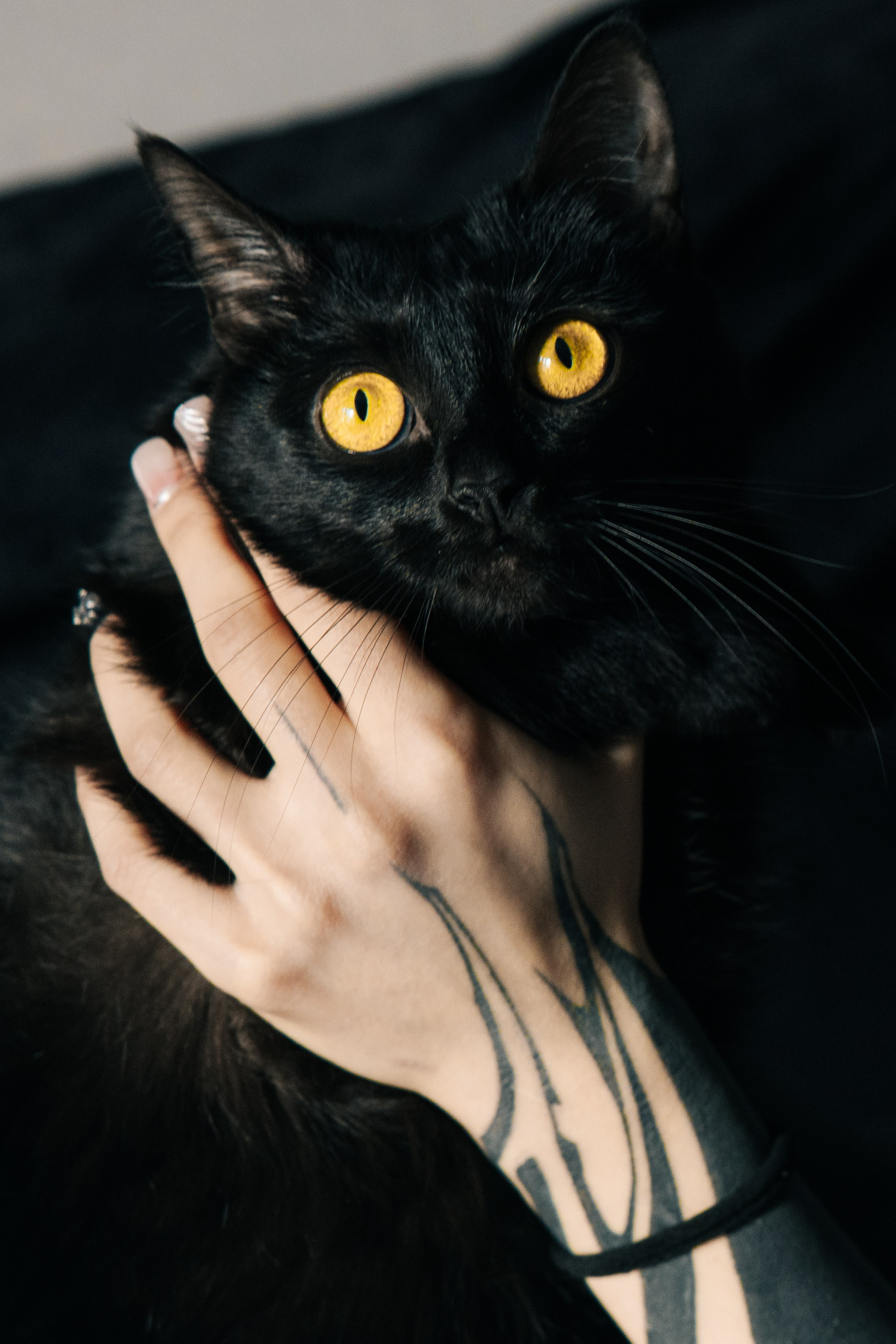 Кристина и Багира. Ксения Цыгир, фотограф в Петербурге