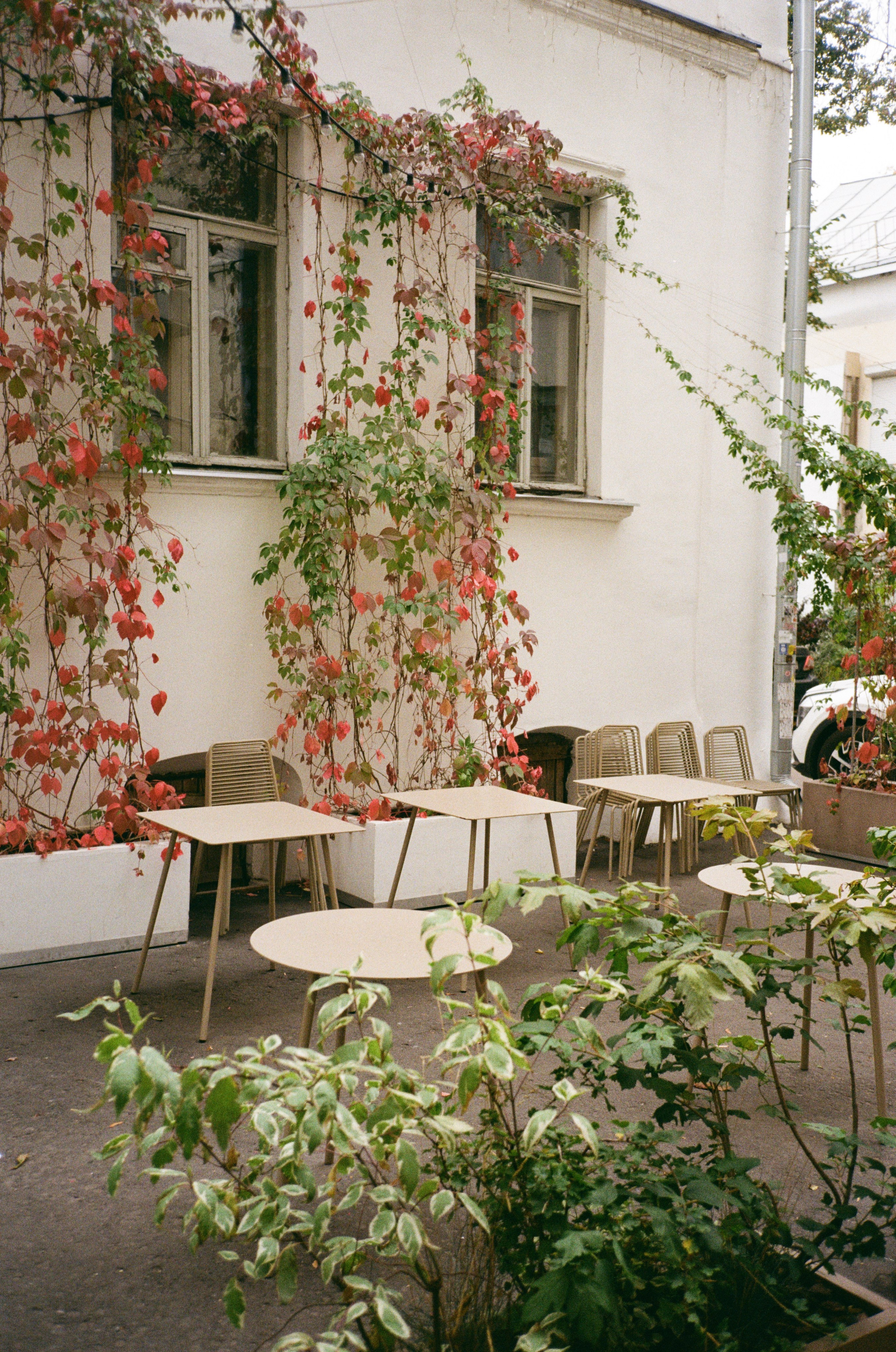 Grain. Artem Khusainov