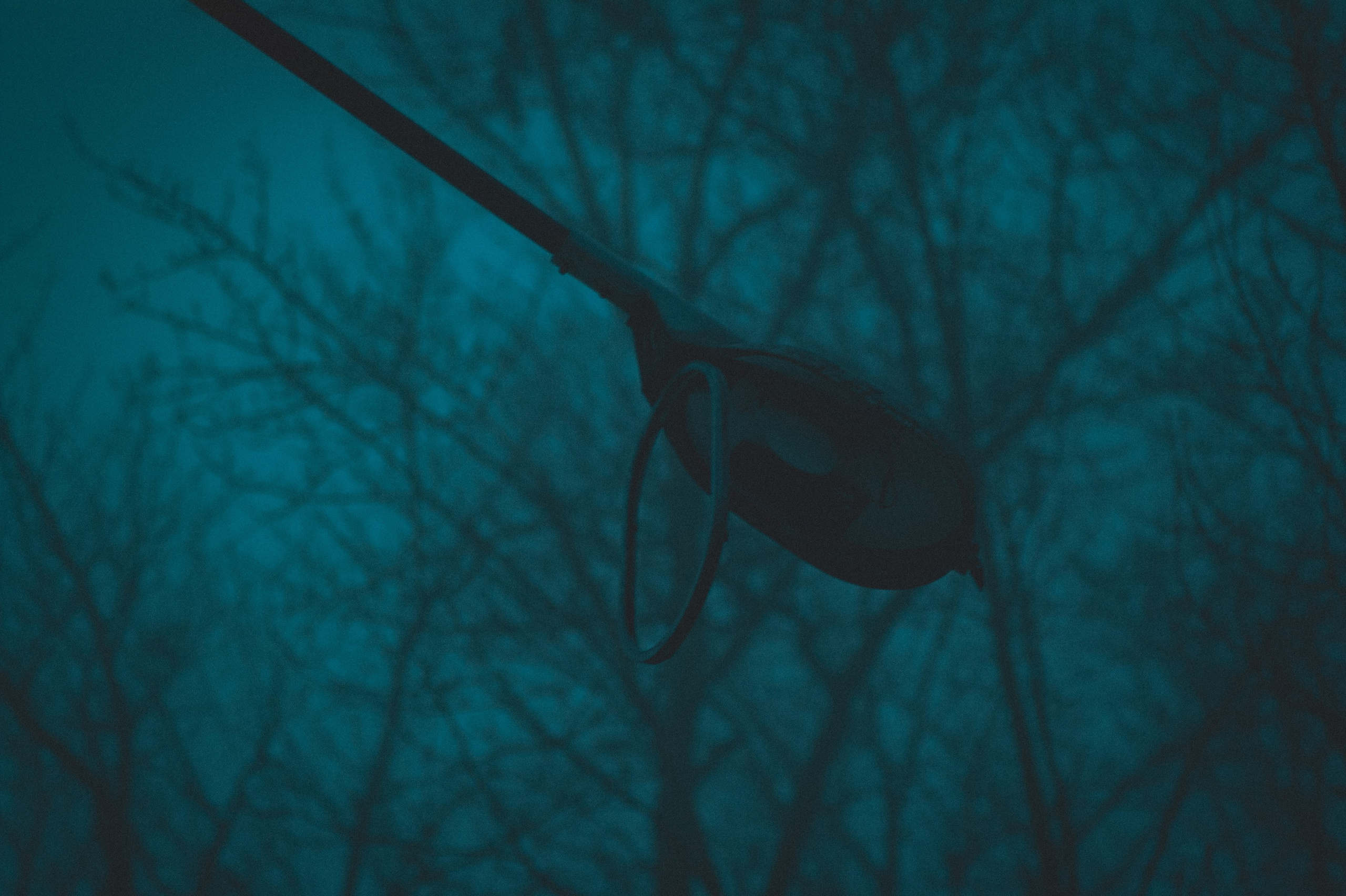 Den Mirov — Фотограф, Музыкант