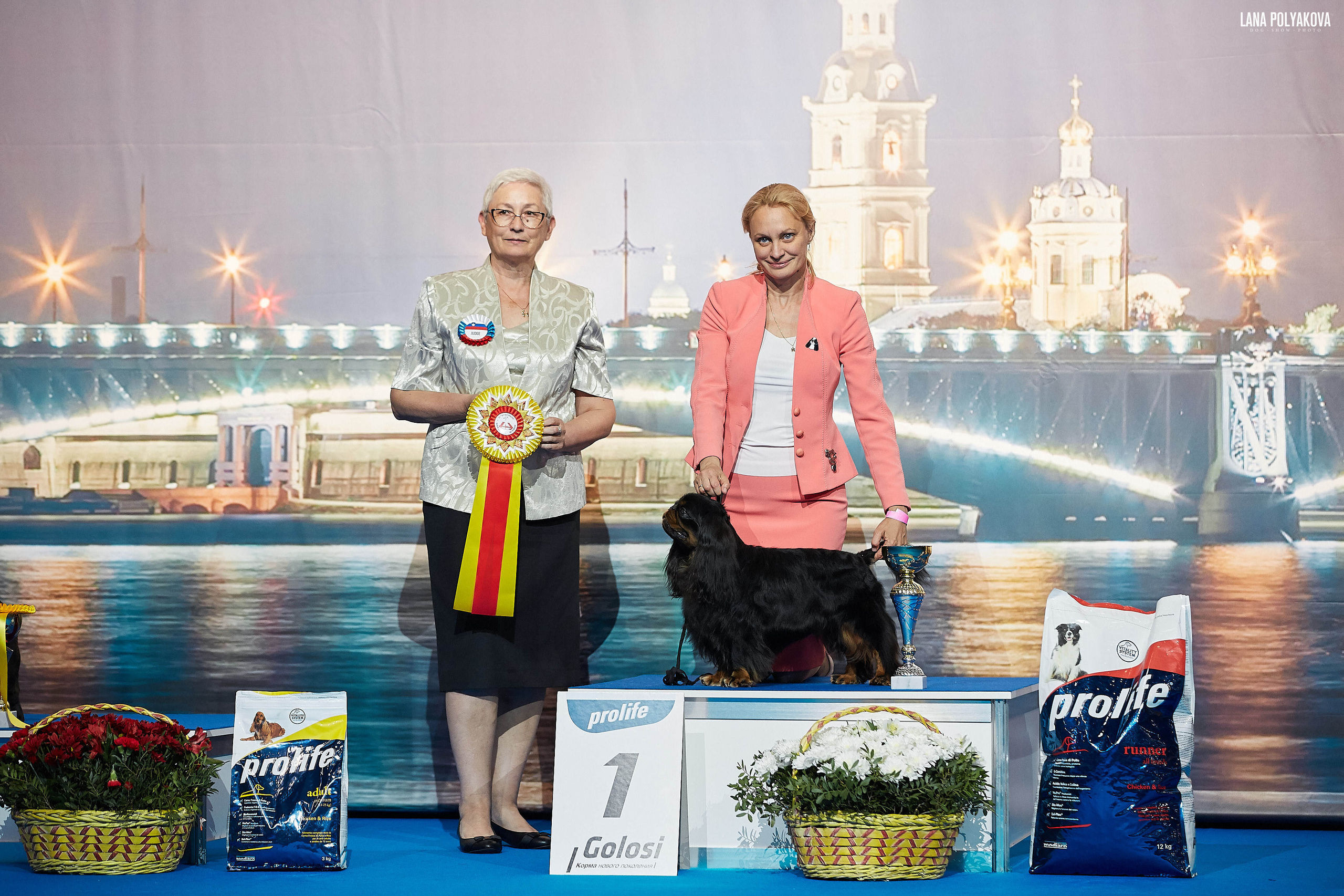 БЕЛЫЕ НОЧИ-2019, 2-x CACIB Санкт-Петербург, ЭКСПОФОРУМ