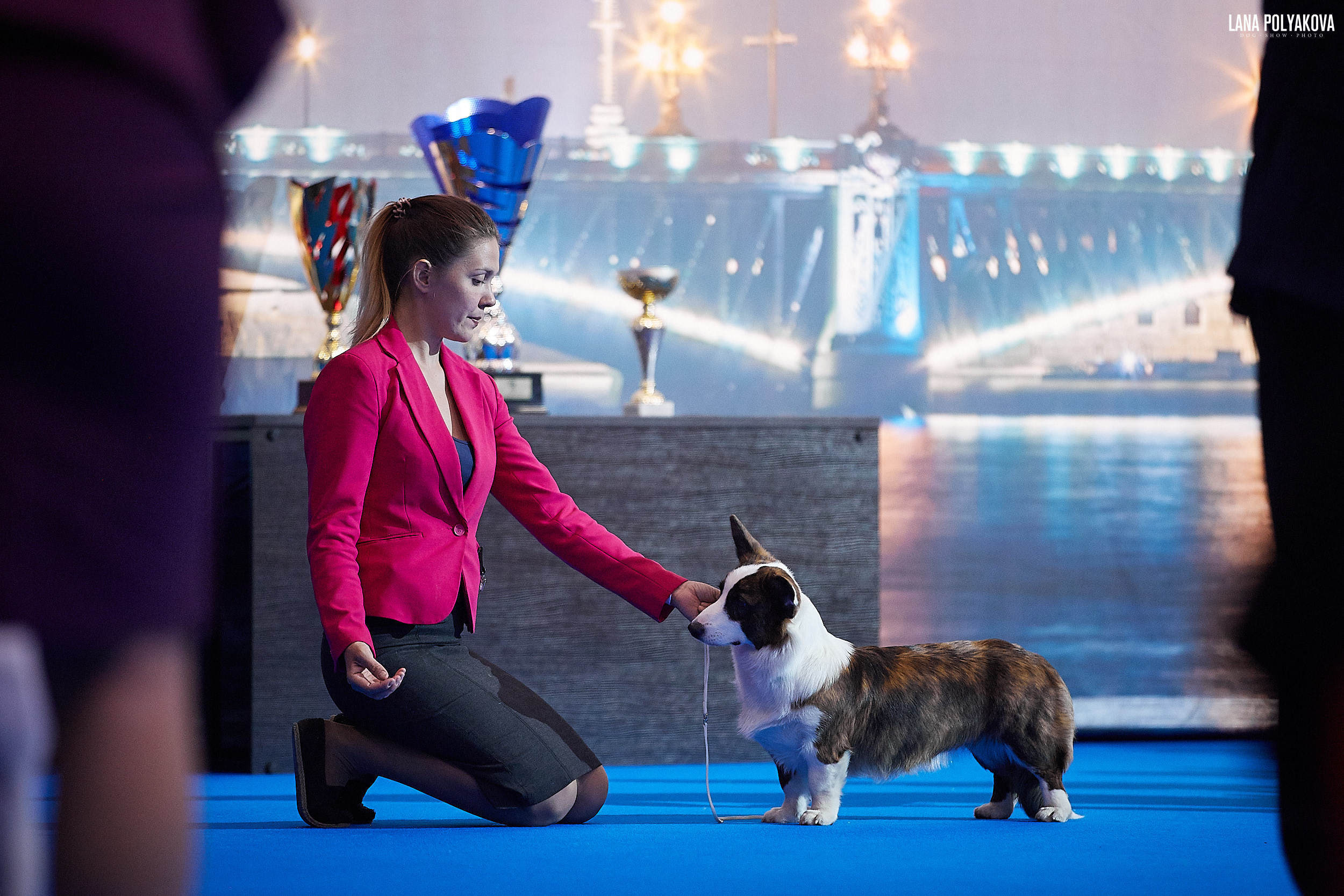 БЕЛЫЕ НОЧИ-2019, 2-x CACIB Санкт-Петербург, ЭКСПОФОРУМ