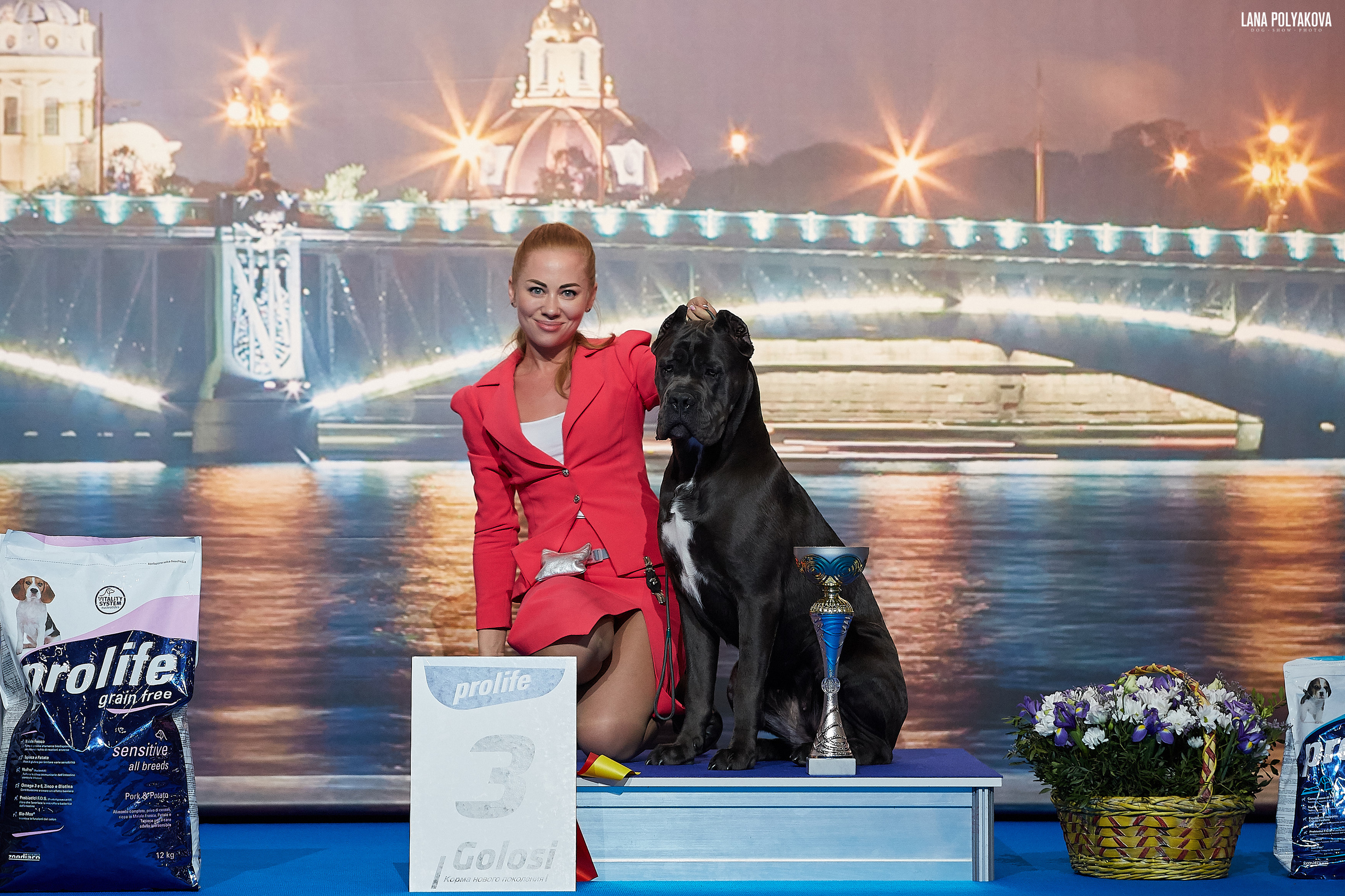 БЕЛЫЕ НОЧИ-2019, 2-x CACIB Санкт-Петербург, ЭКСПОФОРУМ