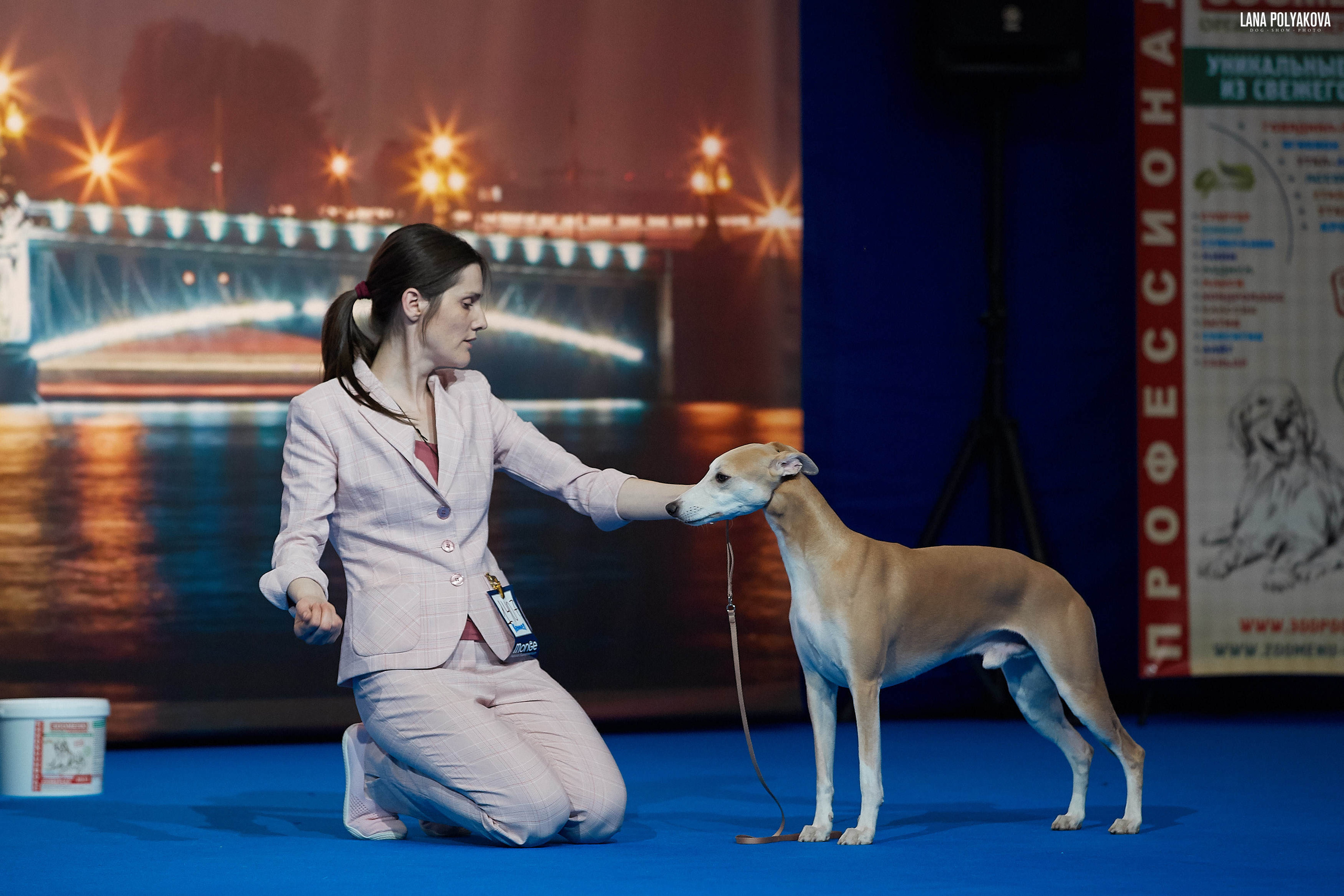 БЕЛЫЕ НОЧИ-2019, 2-x CACIB Санкт-Петербург, ЭКСПОФОРУМ