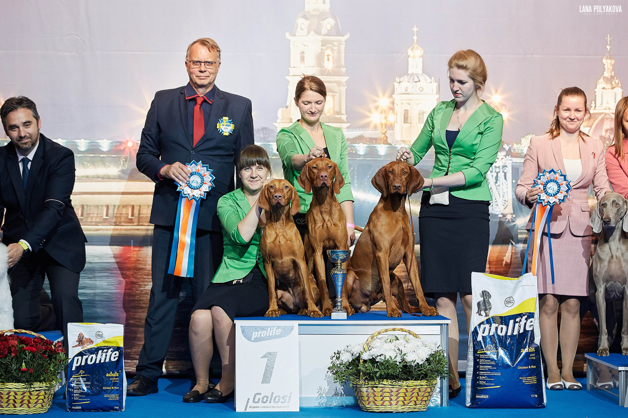 БЕЛЫЕ НОЧИ-2019, 2-x CACIB Санкт-Петербург, ЭКСПОФОРУМ