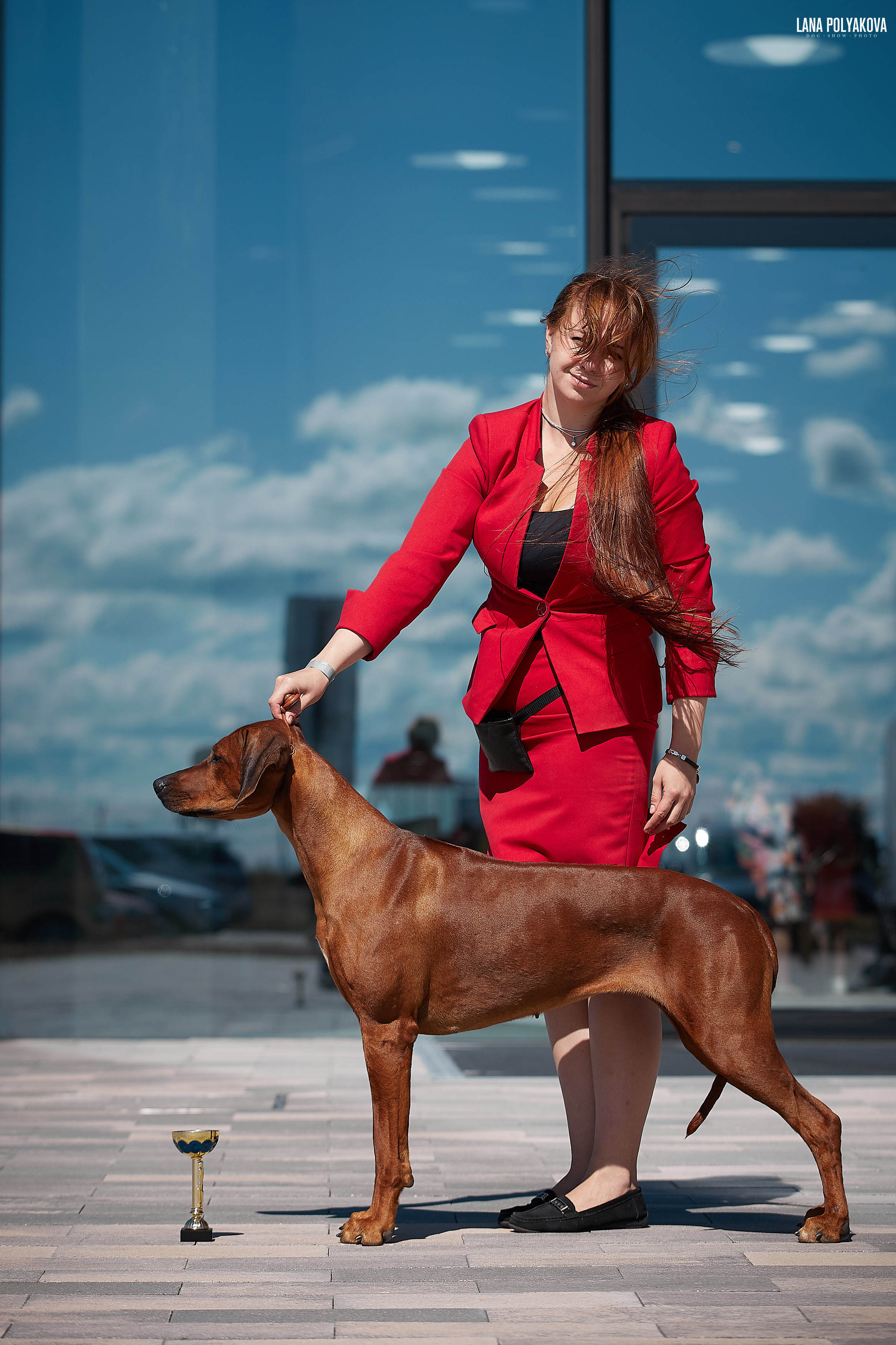 БЕЛЫЕ НОЧИ-2019, 2-x CACIB Санкт-Петербург, ЭКСПОФОРУМ