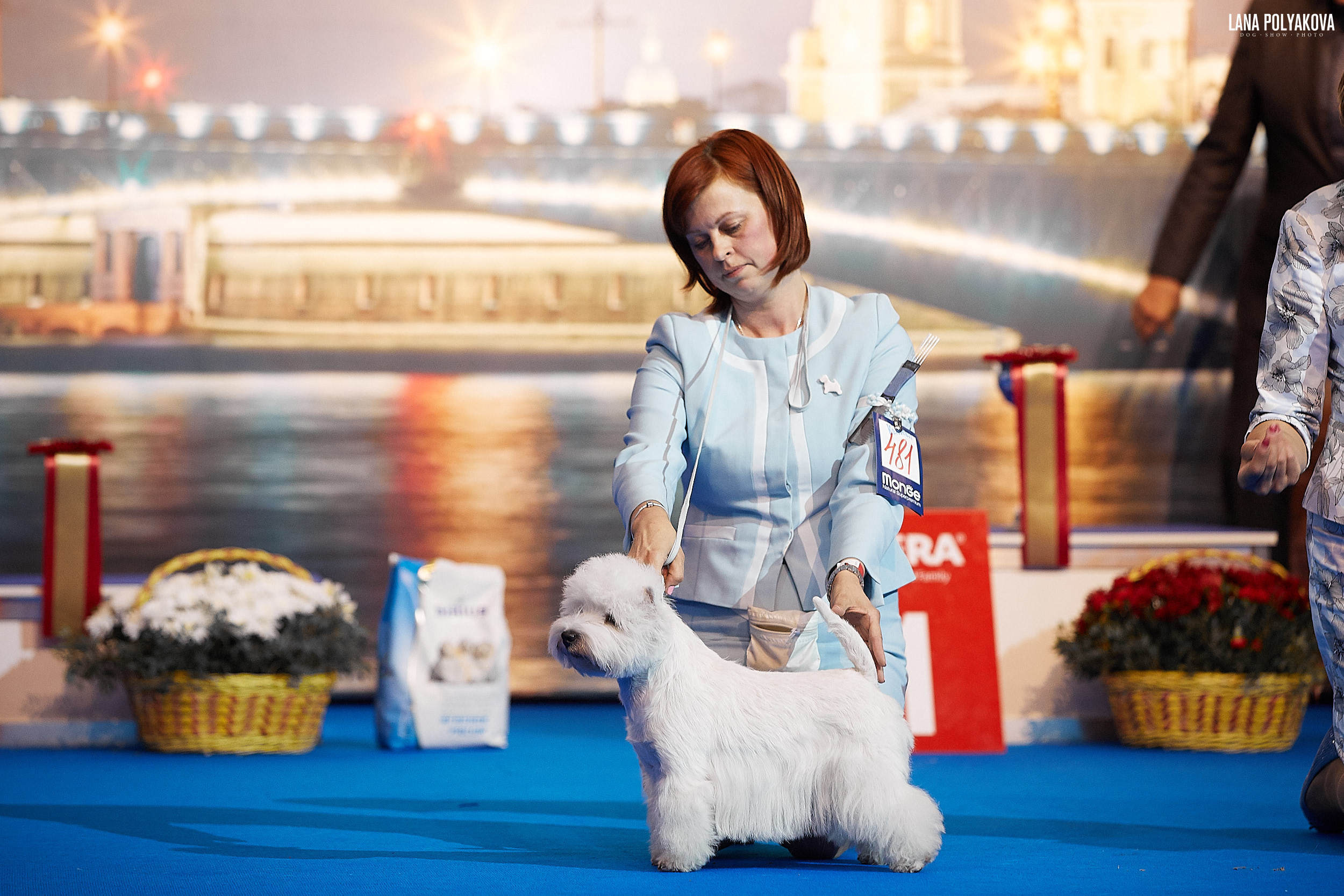 БЕЛЫЕ НОЧИ-2019, 2-x CACIB Санкт-Петербург, ЭКСПОФОРУМ