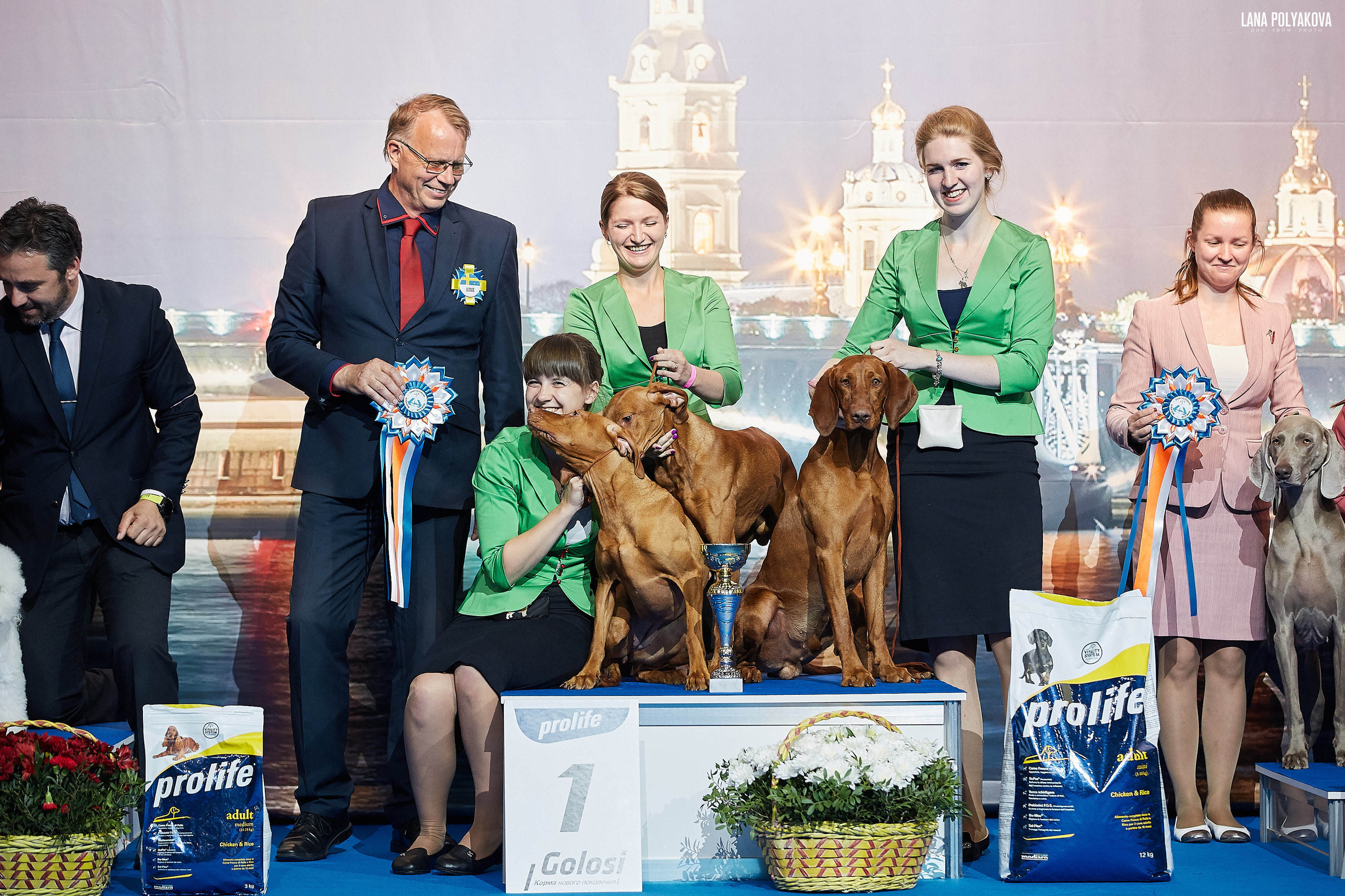 БЕЛЫЕ НОЧИ-2019, 2-x CACIB Санкт-Петербург, ЭКСПОФОРУМ