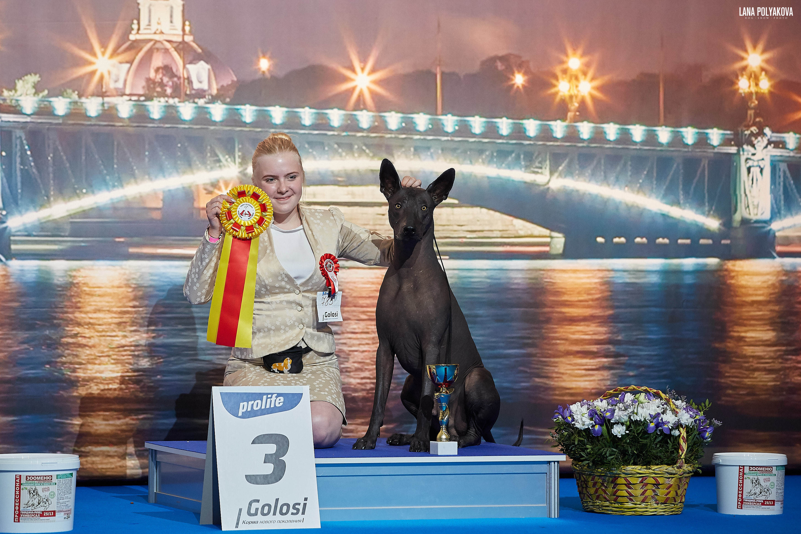 БЕЛЫЕ НОЧИ-2019, 2-x CACIB Санкт-Петербург, ЭКСПОФОРУМ