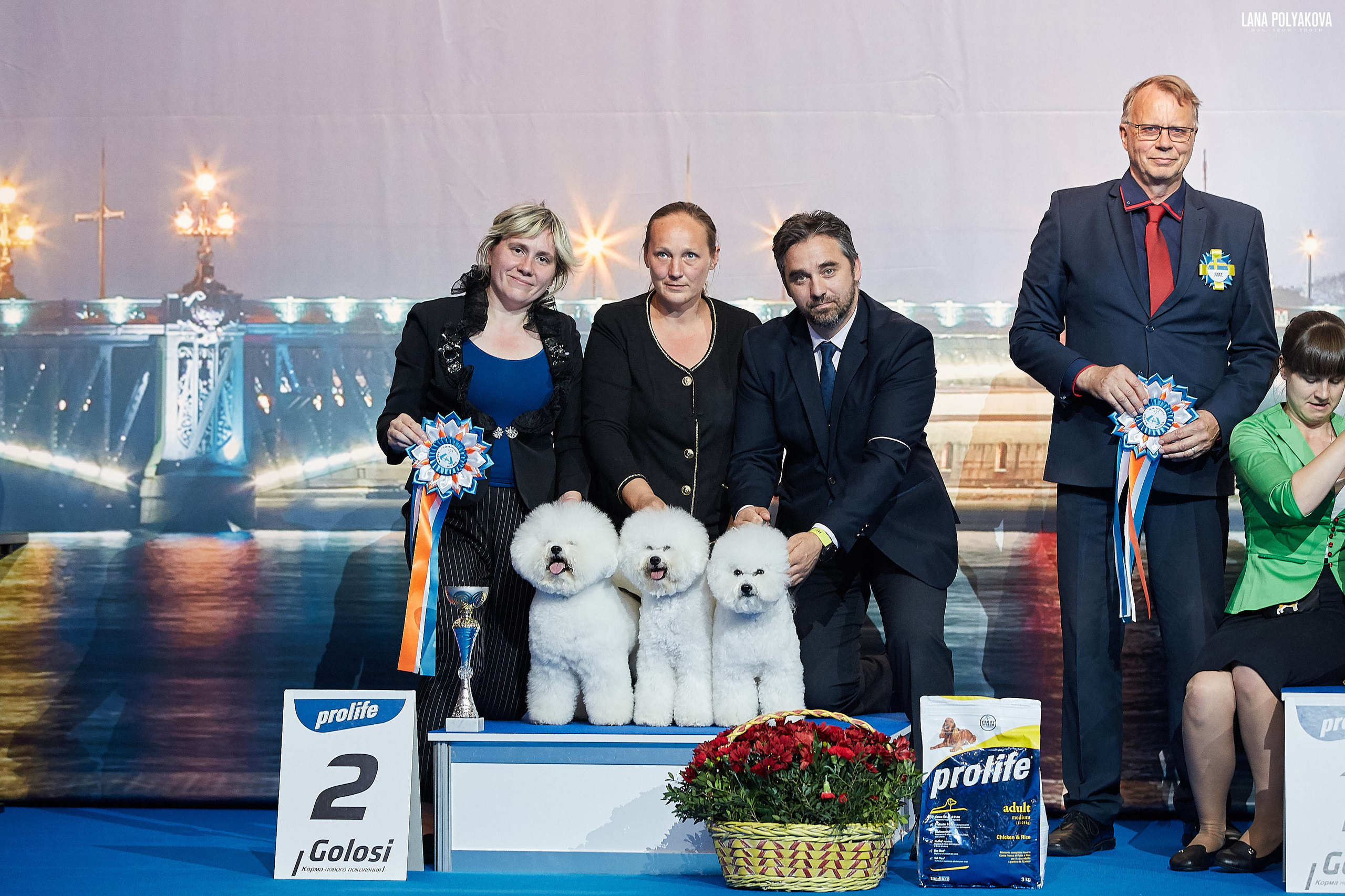 БЕЛЫЕ НОЧИ-2019, 2-x CACIB Санкт-Петербург, ЭКСПОФОРУМ