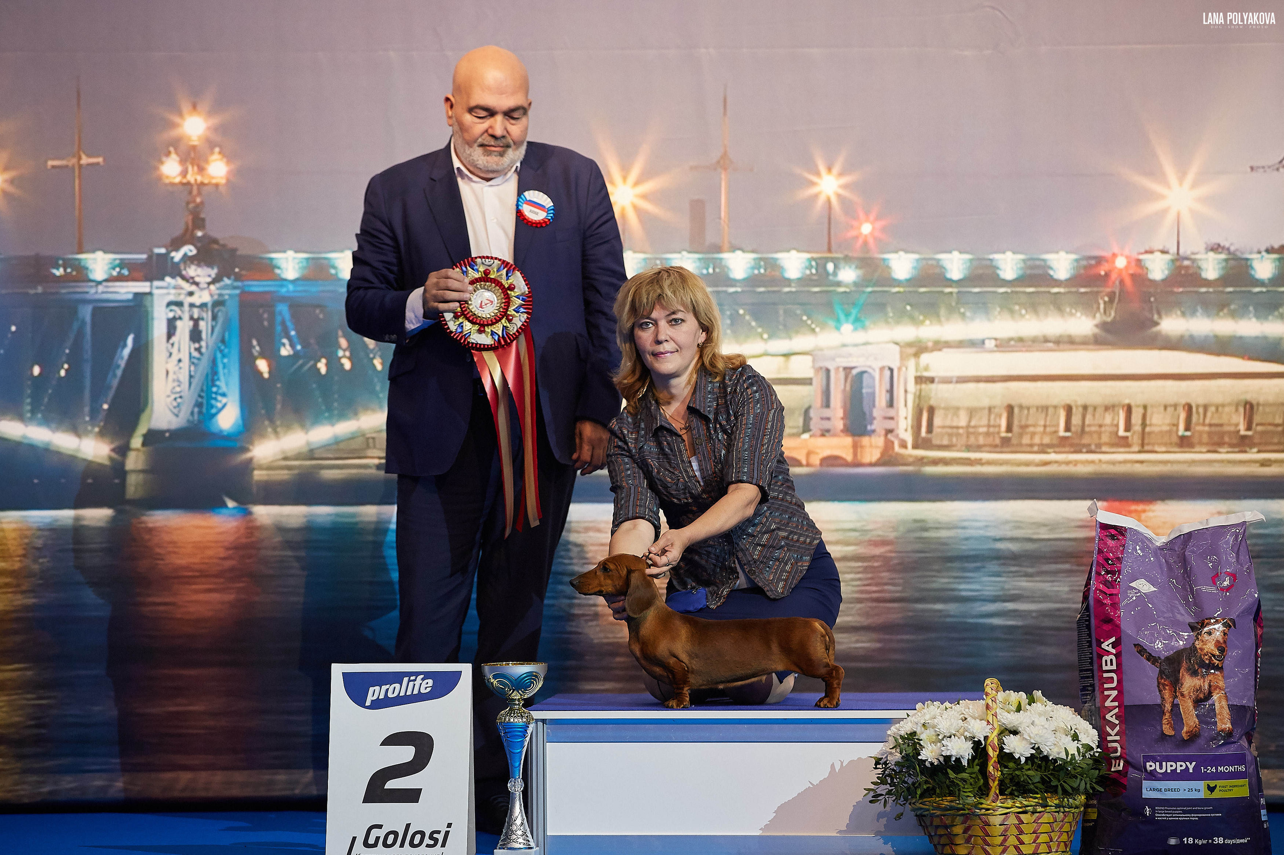 БЕЛЫЕ НОЧИ-2019, 2-x CACIB Санкт-Петербург, ЭКСПОФОРУМ