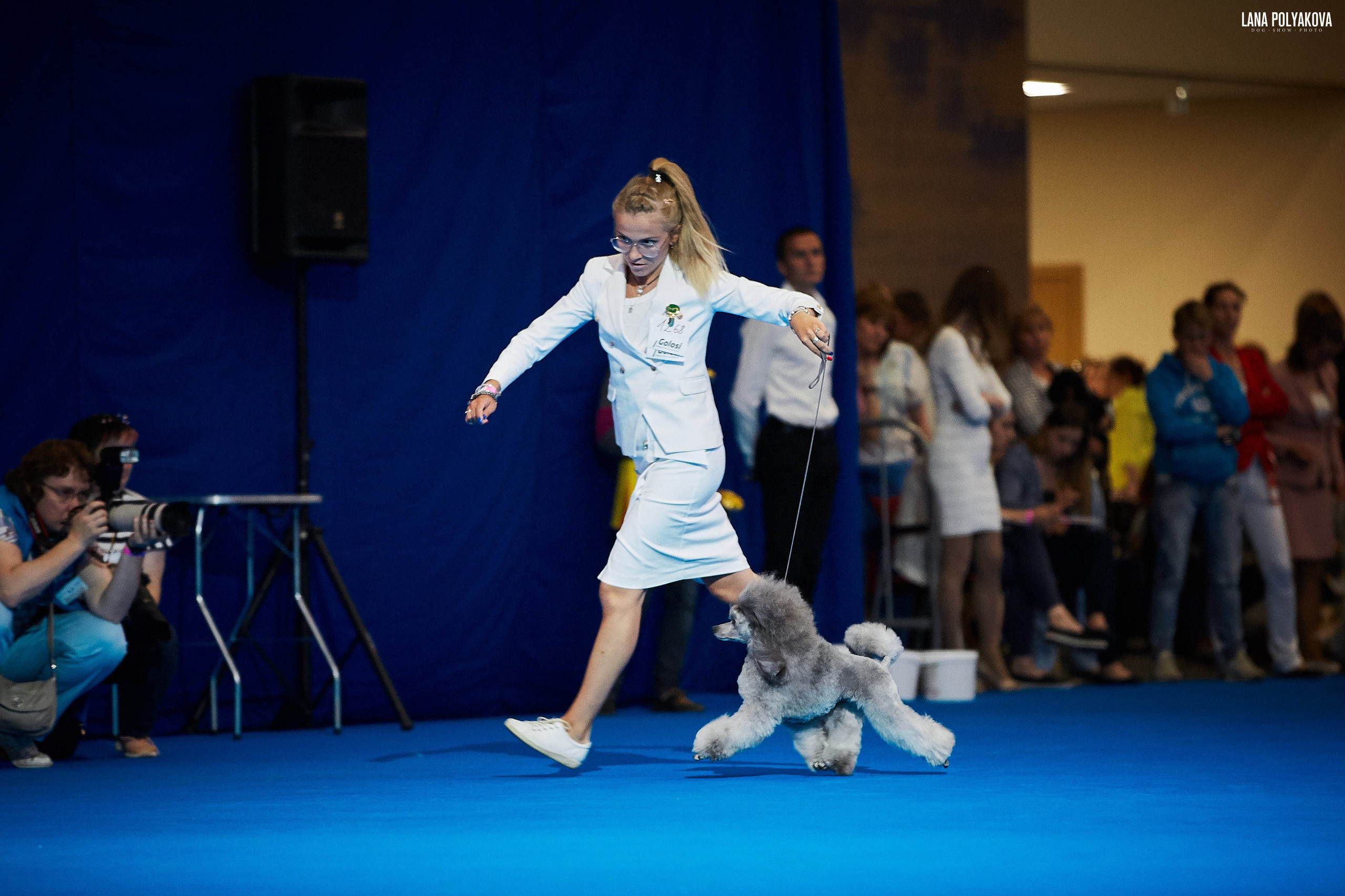 БЕЛЫЕ НОЧИ-2019, 2-x CACIB Санкт-Петербург, ЭКСПОФОРУМ