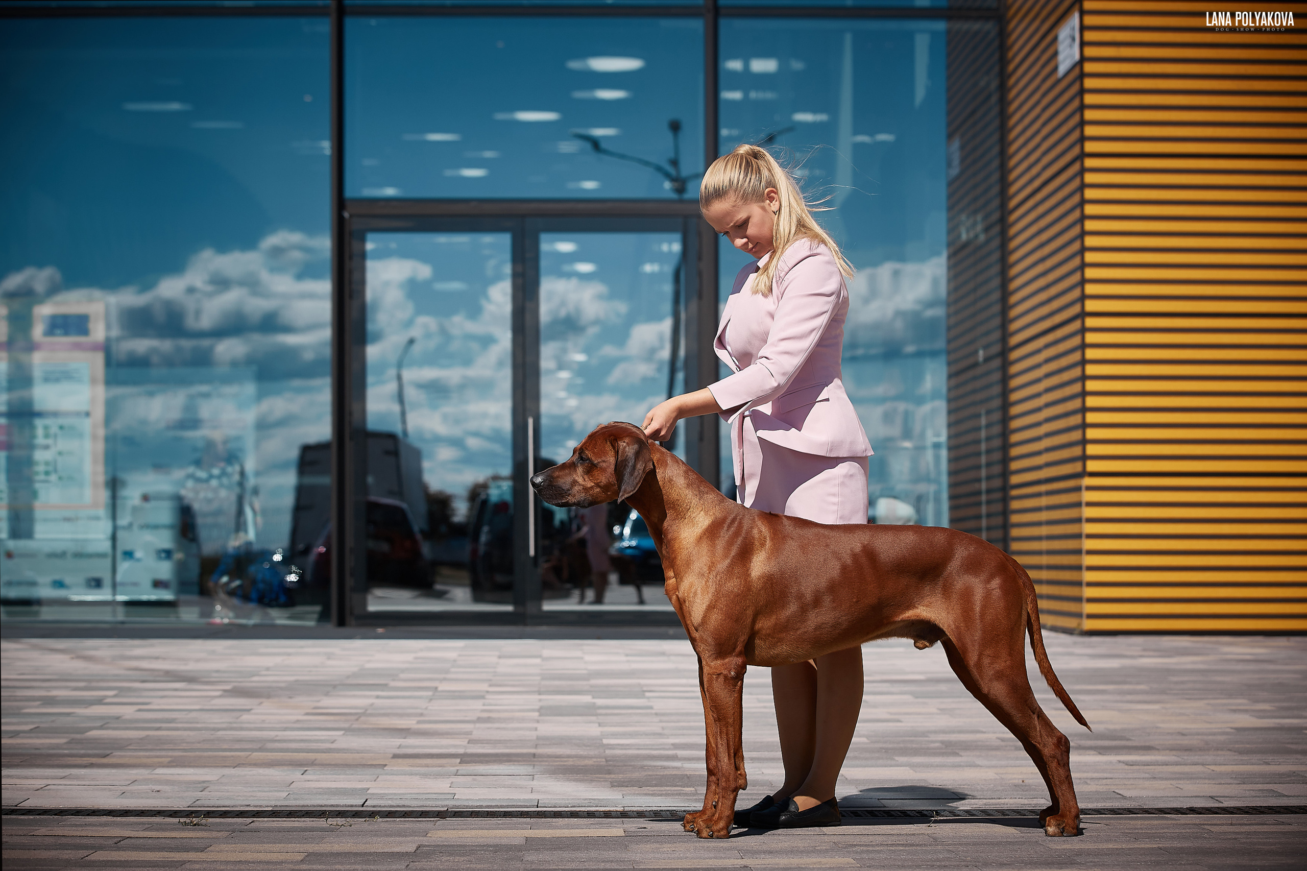 Handler Veronika Ovodneva