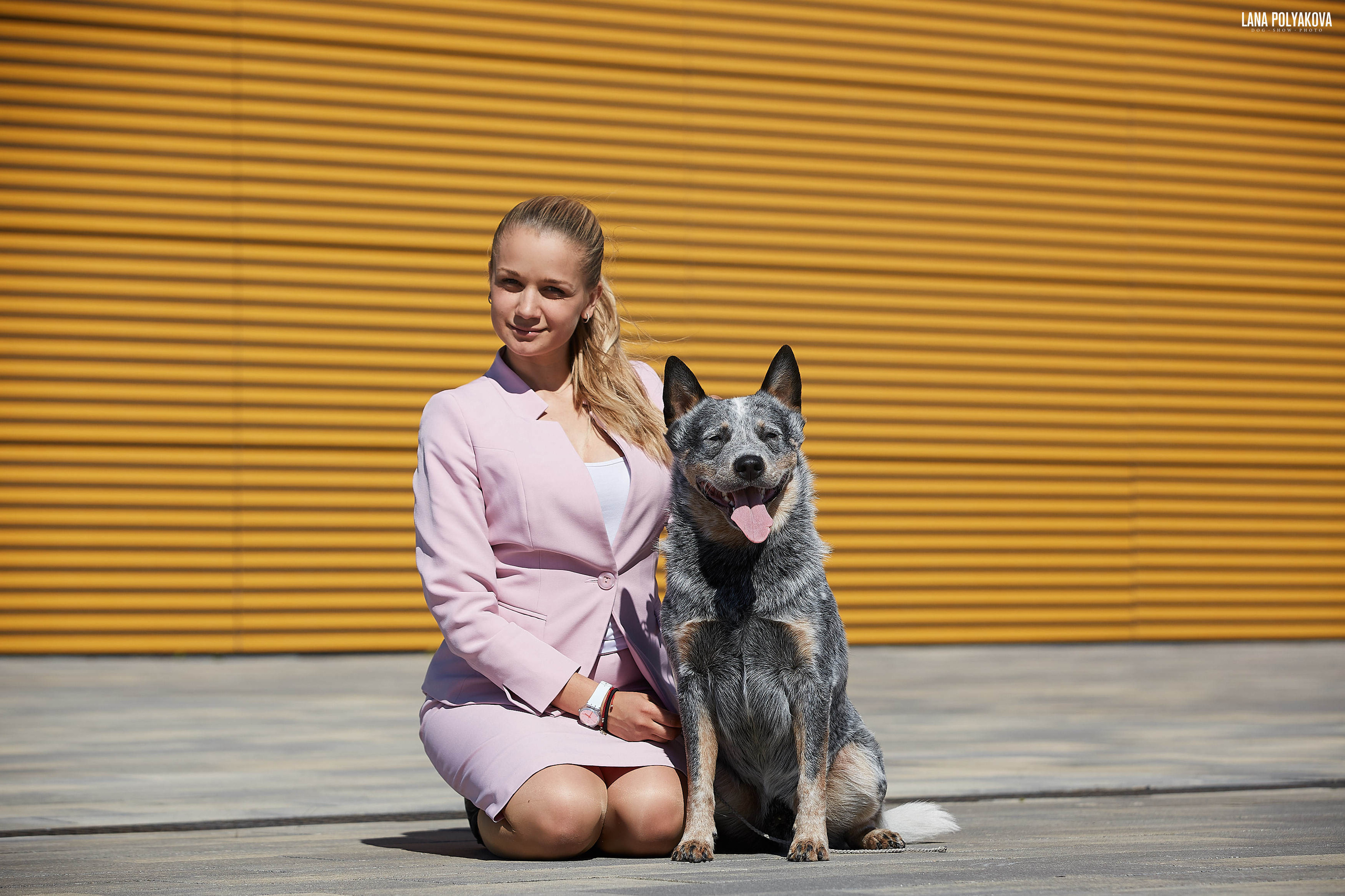Handler Veronika Ovodneva and JOKER SHOW KING OF THE RING