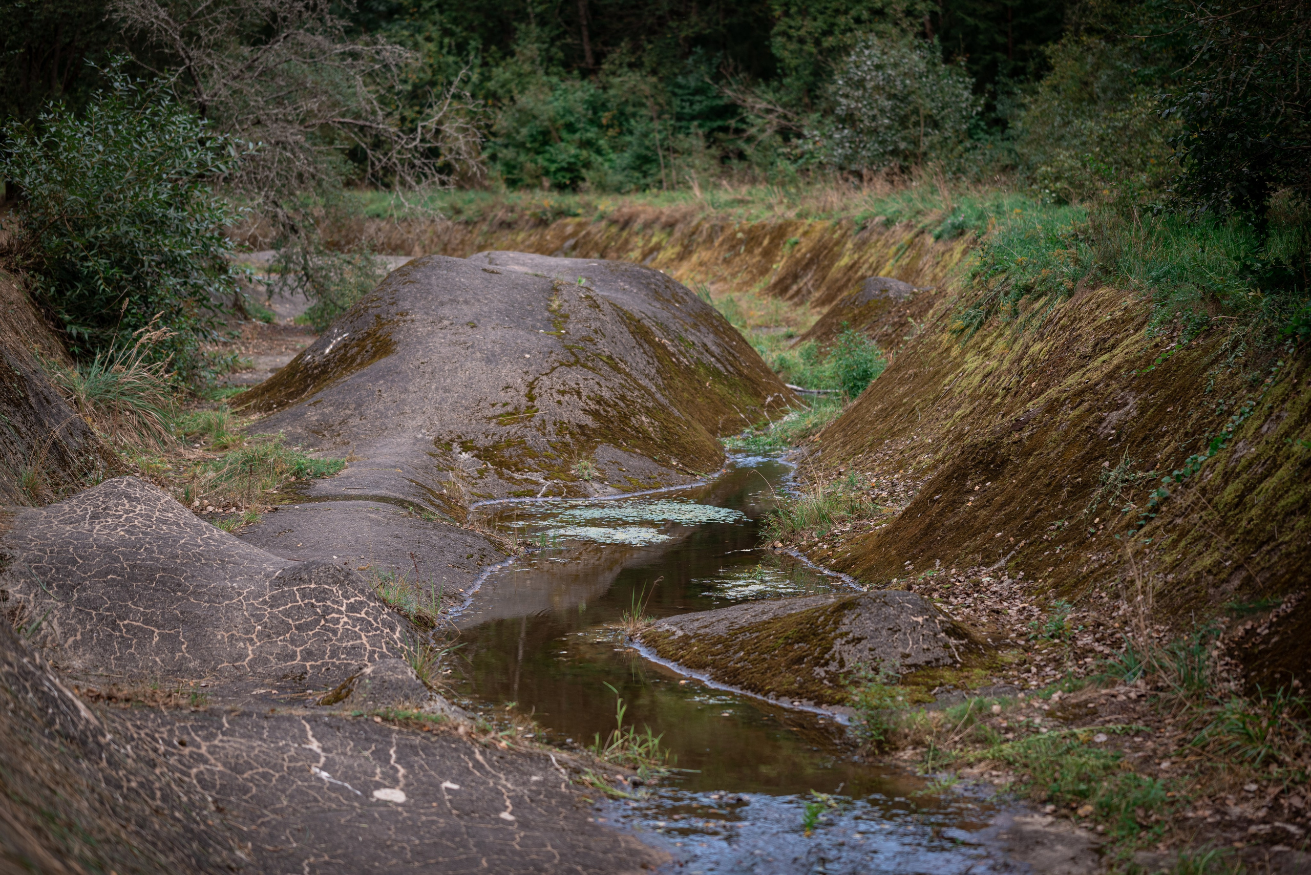Места. Фотограф в Минске Дарья Кончакова