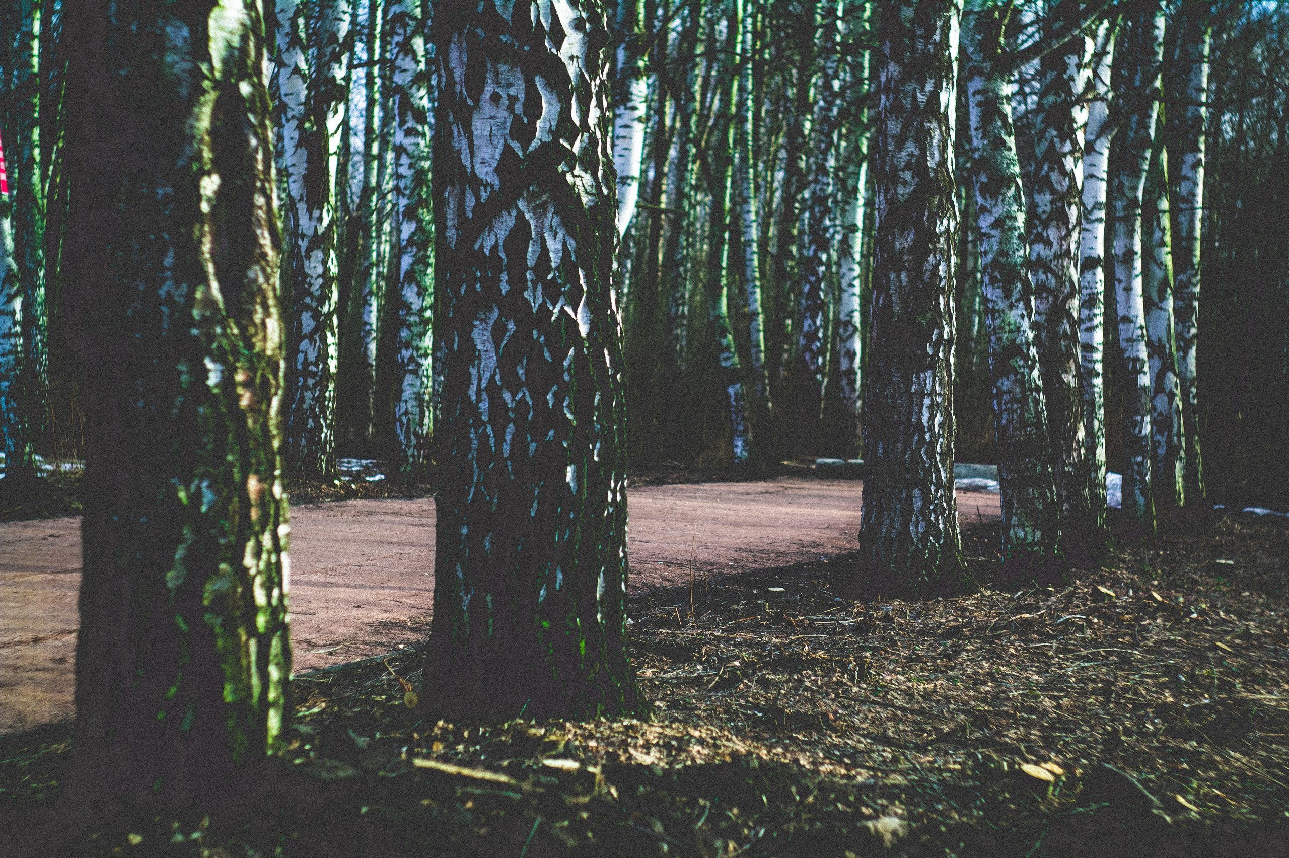 Kingdom. Den Mirov — Photographer, Musician