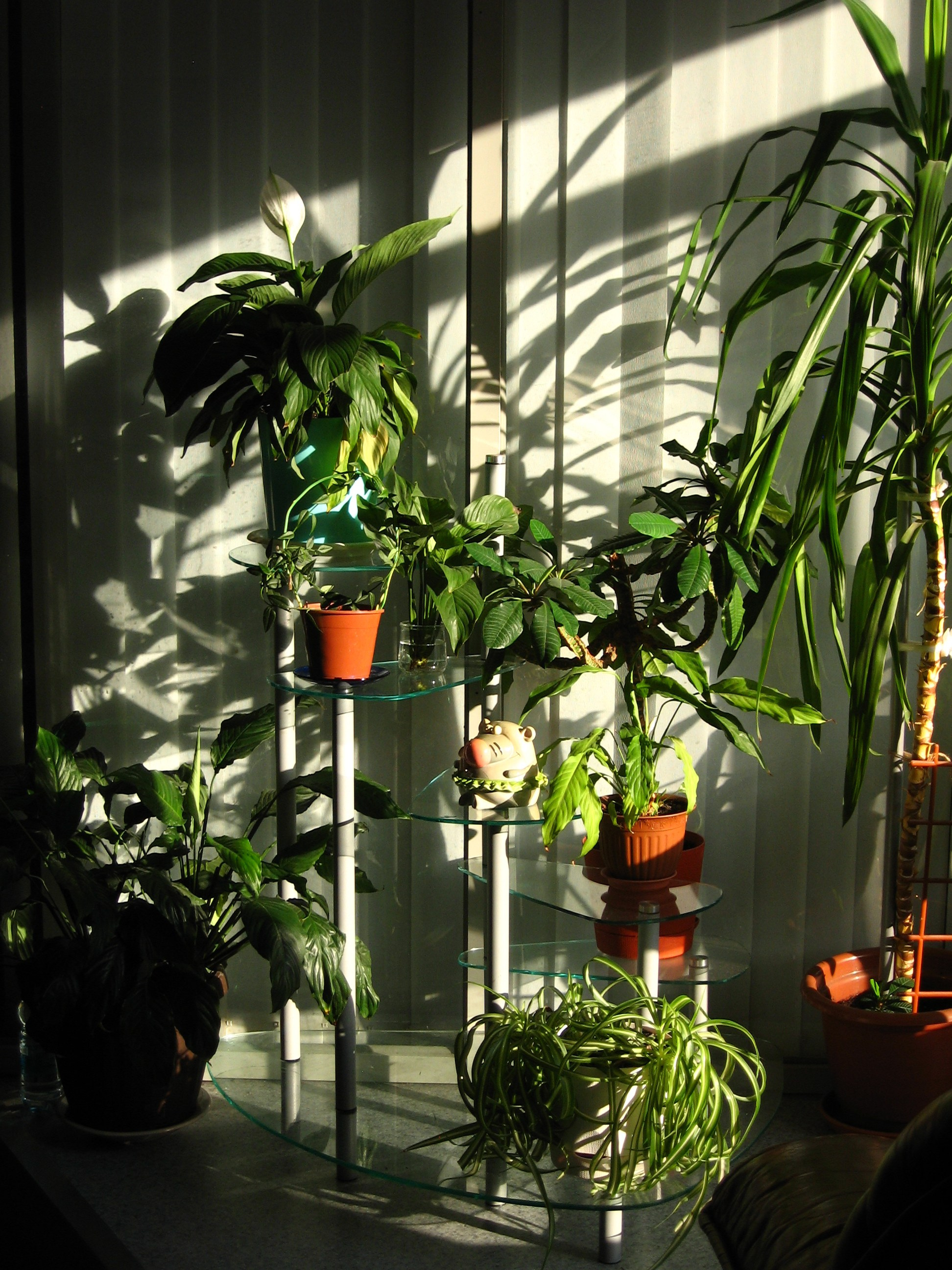 Август 2025. Den Mirov — Фотограф, Музыкант