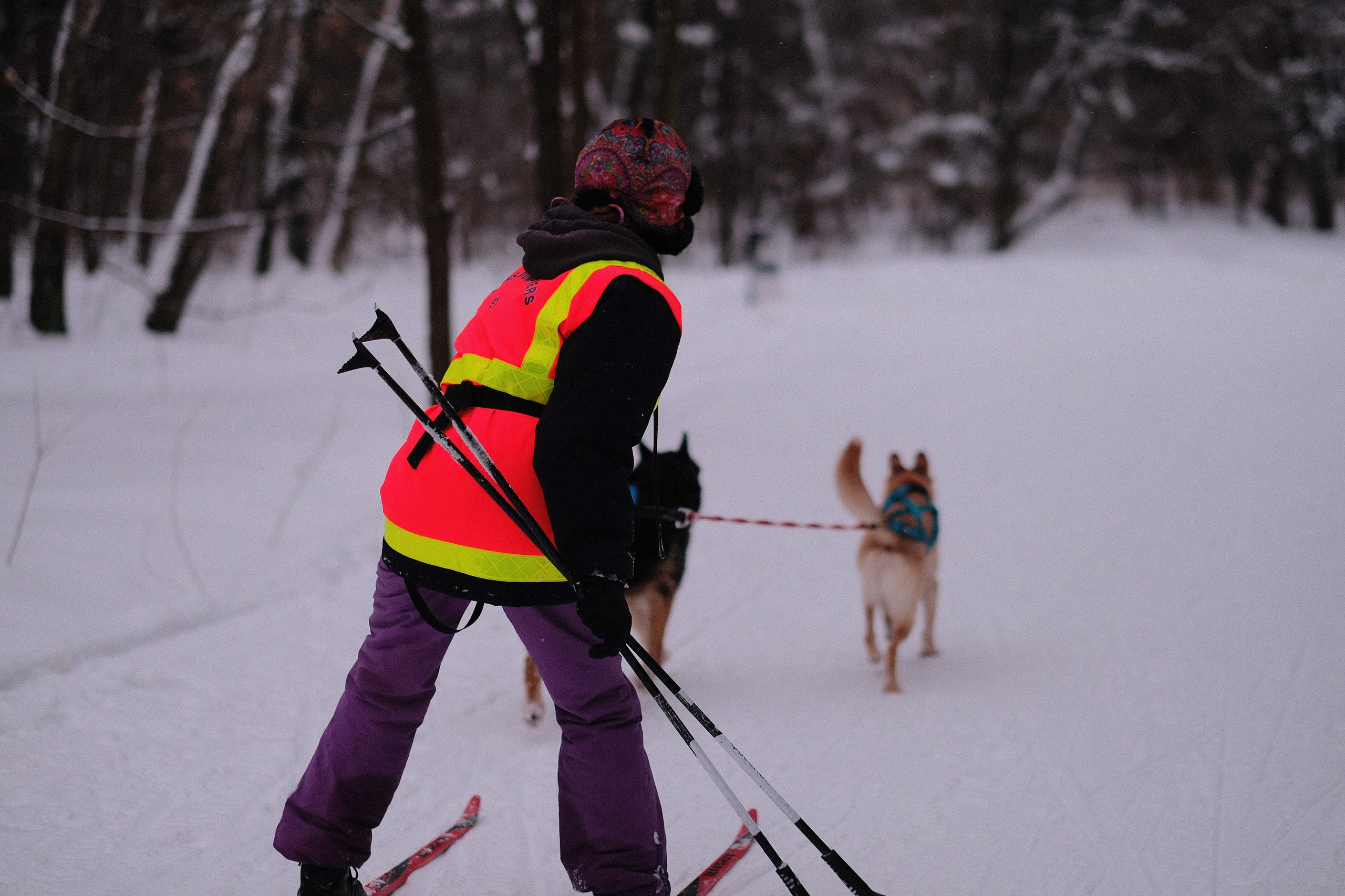 Рик, Листик и их Катя. Дмитрий Бречалов