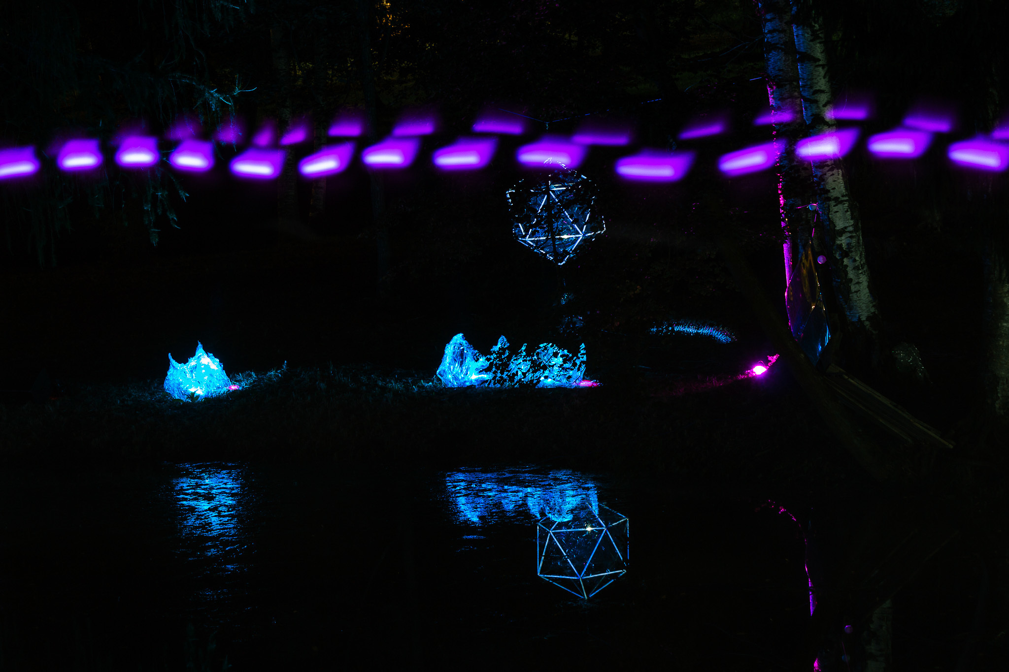 Ночь Света • Гатчина. Творческая Мастерская Павла МАРЕЕВА