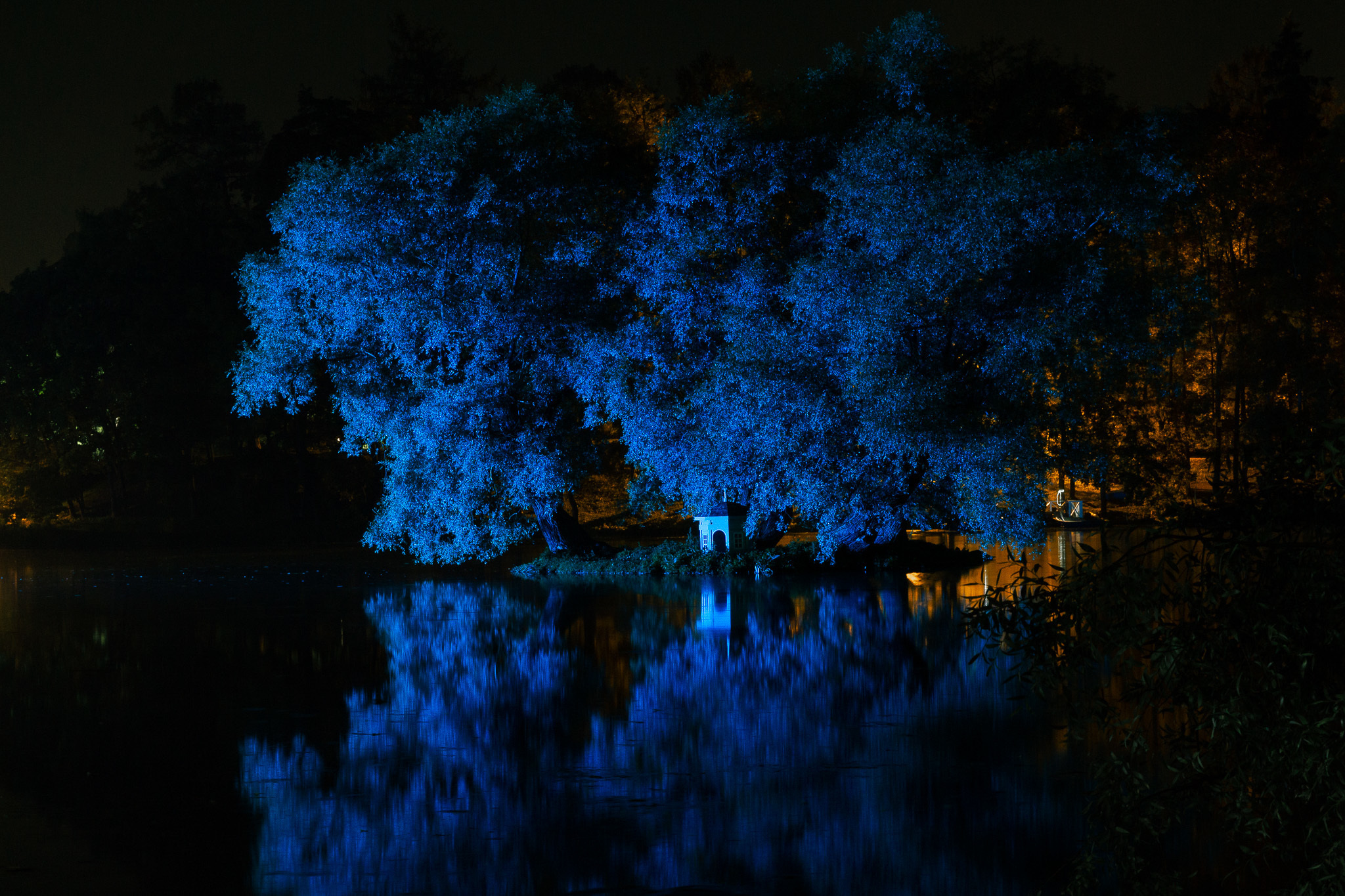 Ночь Света • Гатчина. Творческая Мастерская Павла МАРЕЕВА